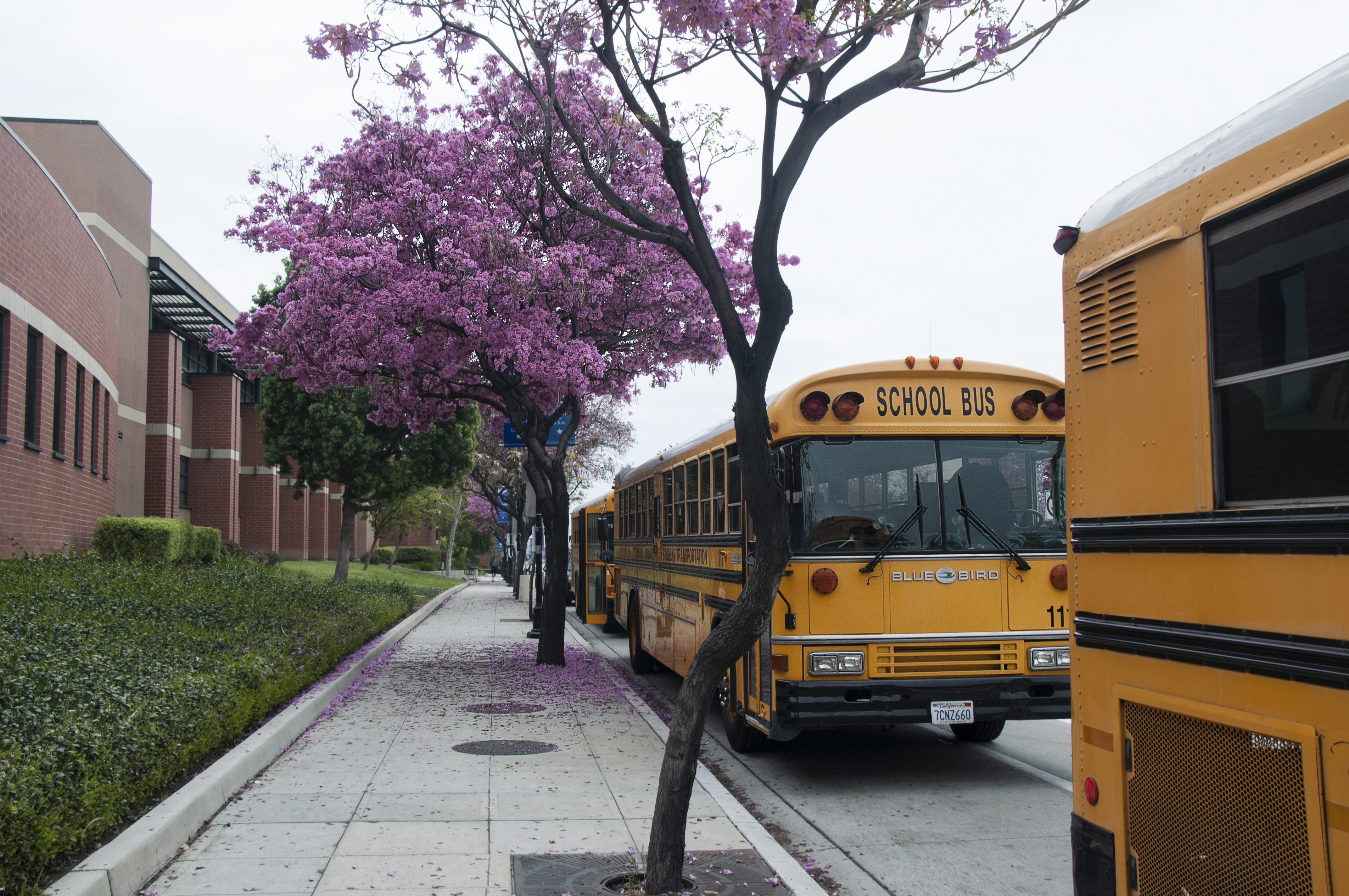 California's Largest School District Could See Huge Layoffs