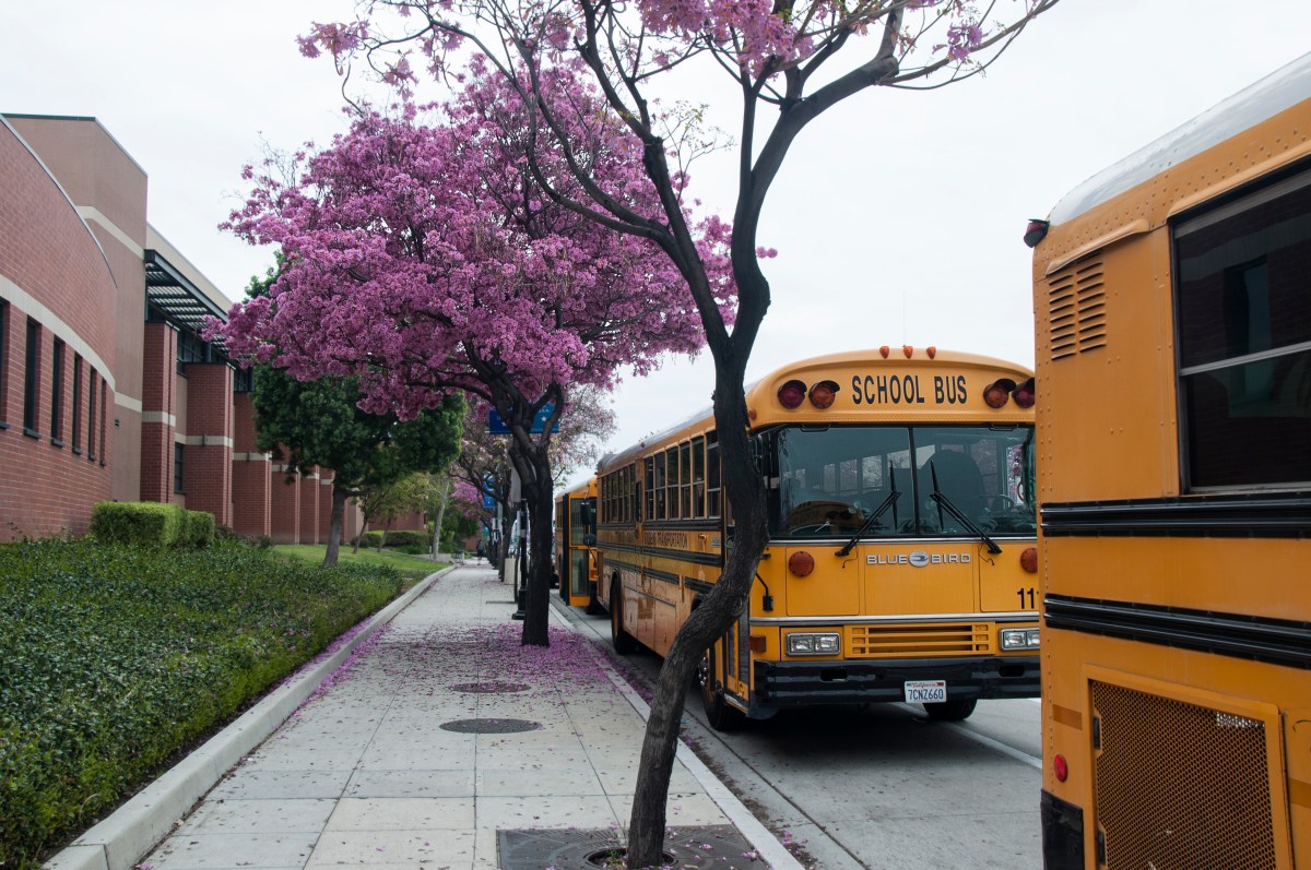 California’s Largest School District Could See Huge Layoffs
