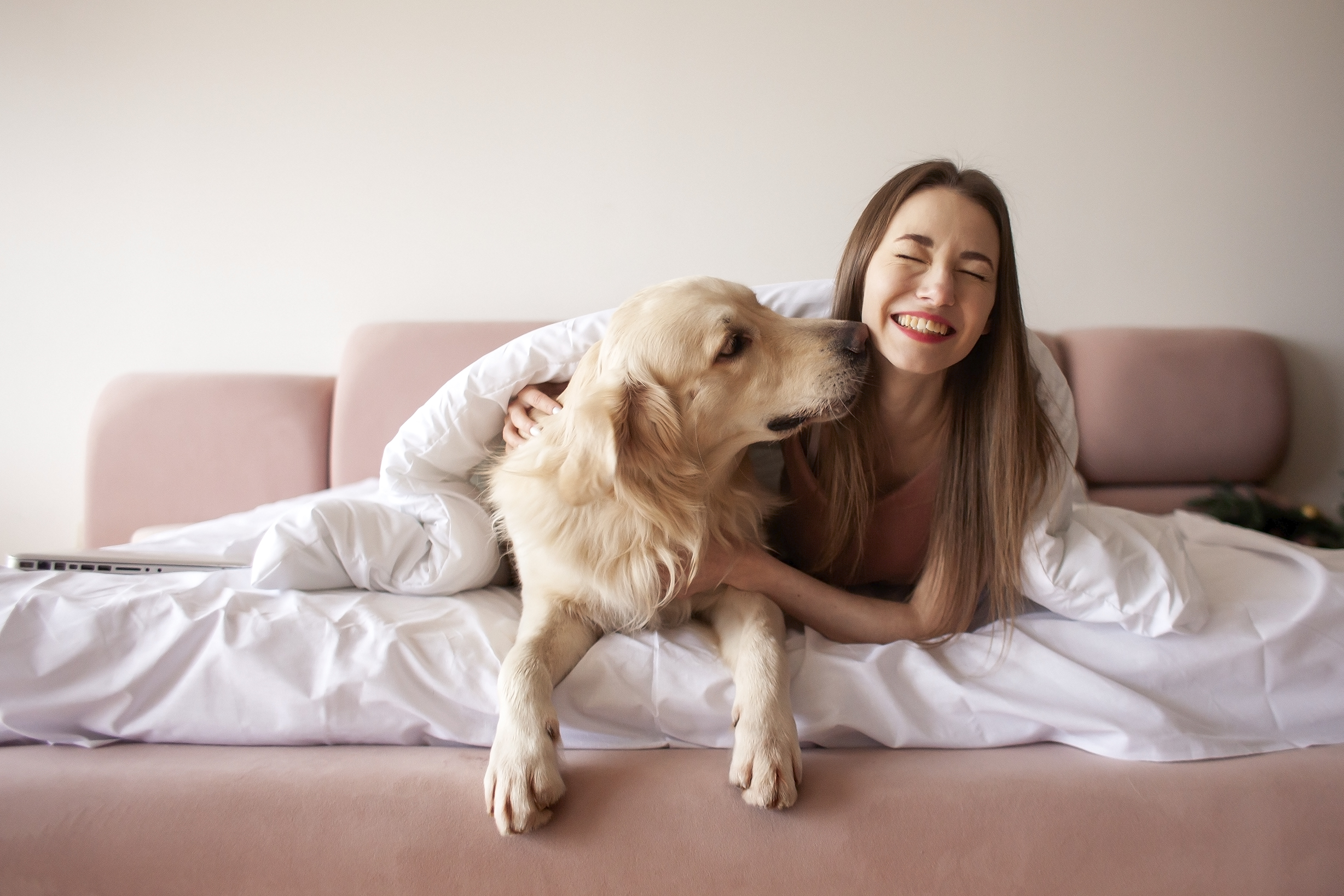 Golden Retriever Decides It’s Time for Owner To Wake Up, Method Goes Viral