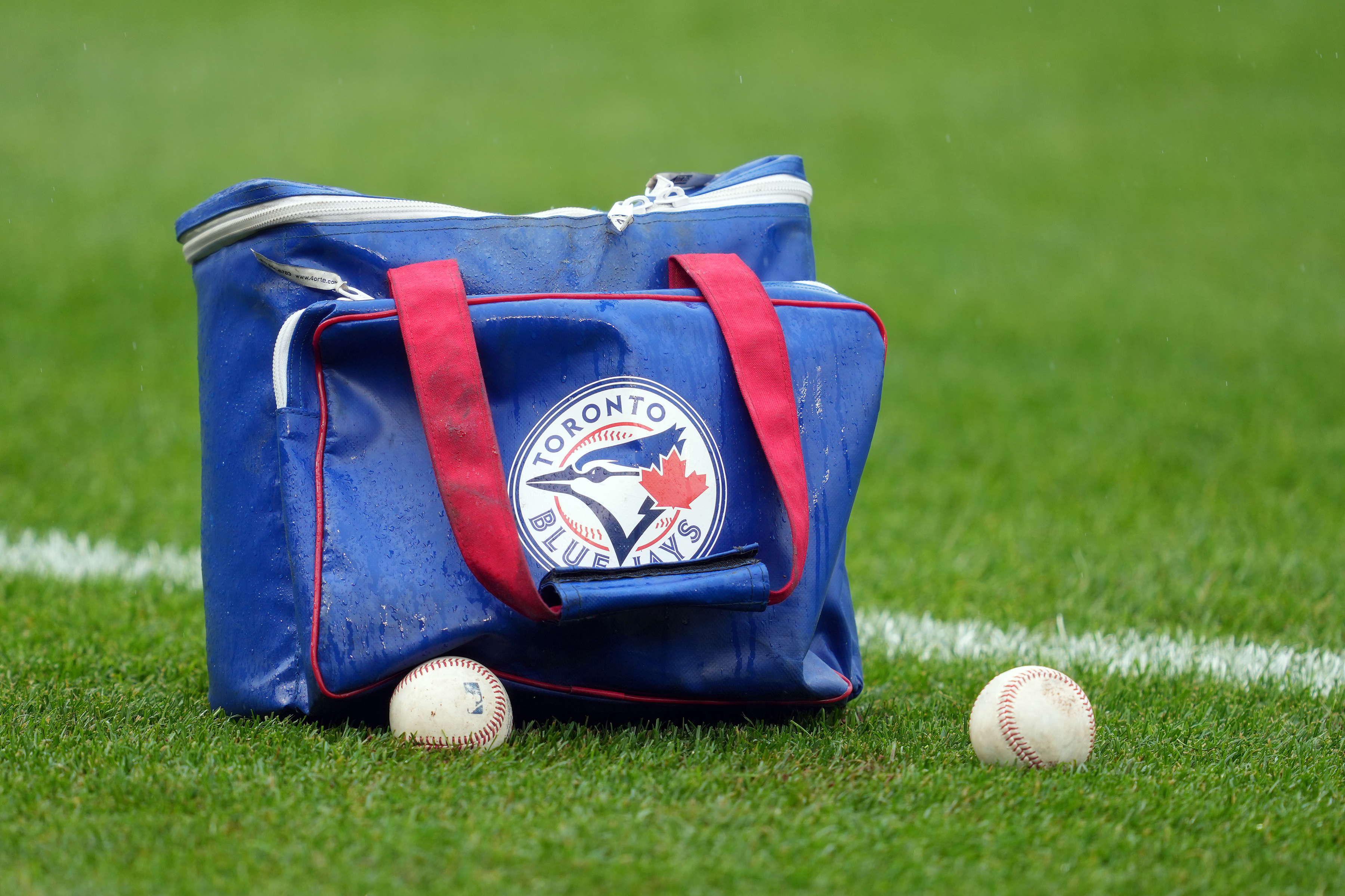 Blue Jays Acquire Catcher with Cubs, Phillies Ties