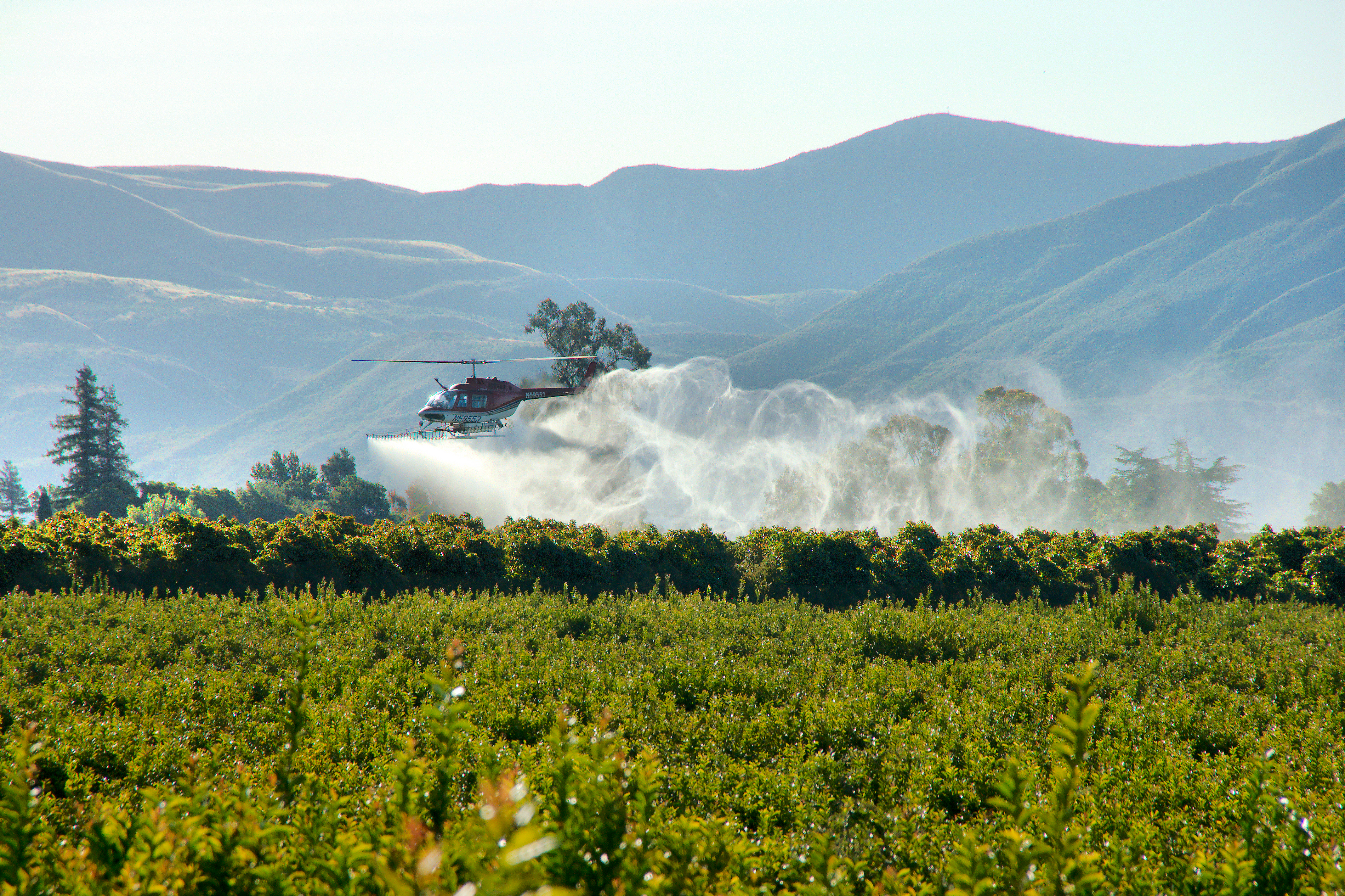 EPA Brings Back Twice-Banned Pesticide