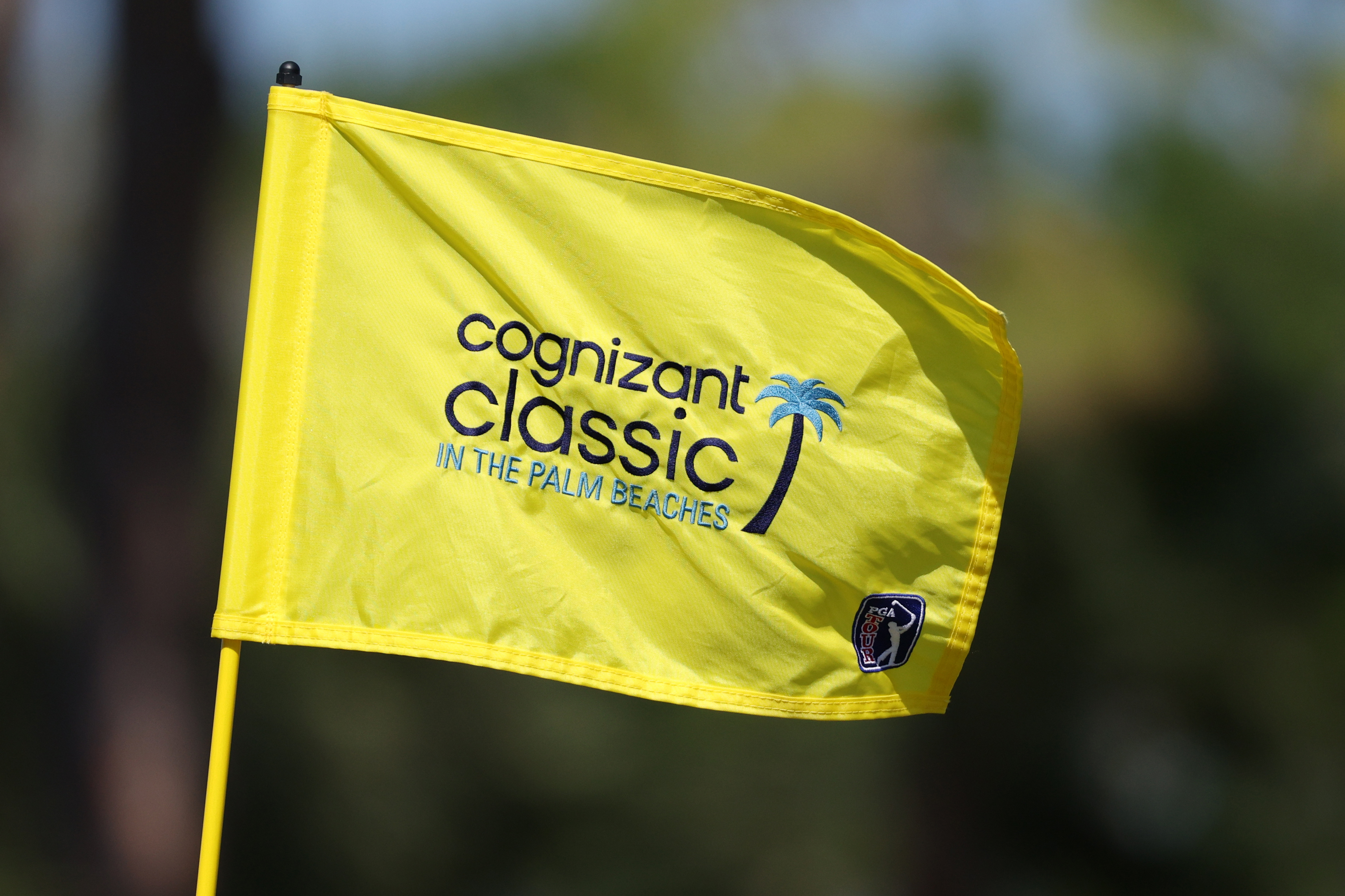 How to Watch Cognizant Classic in The Palm Beaches 2026: Live Stream PGA Tour Golf, TV Channel, Schedule, Odds