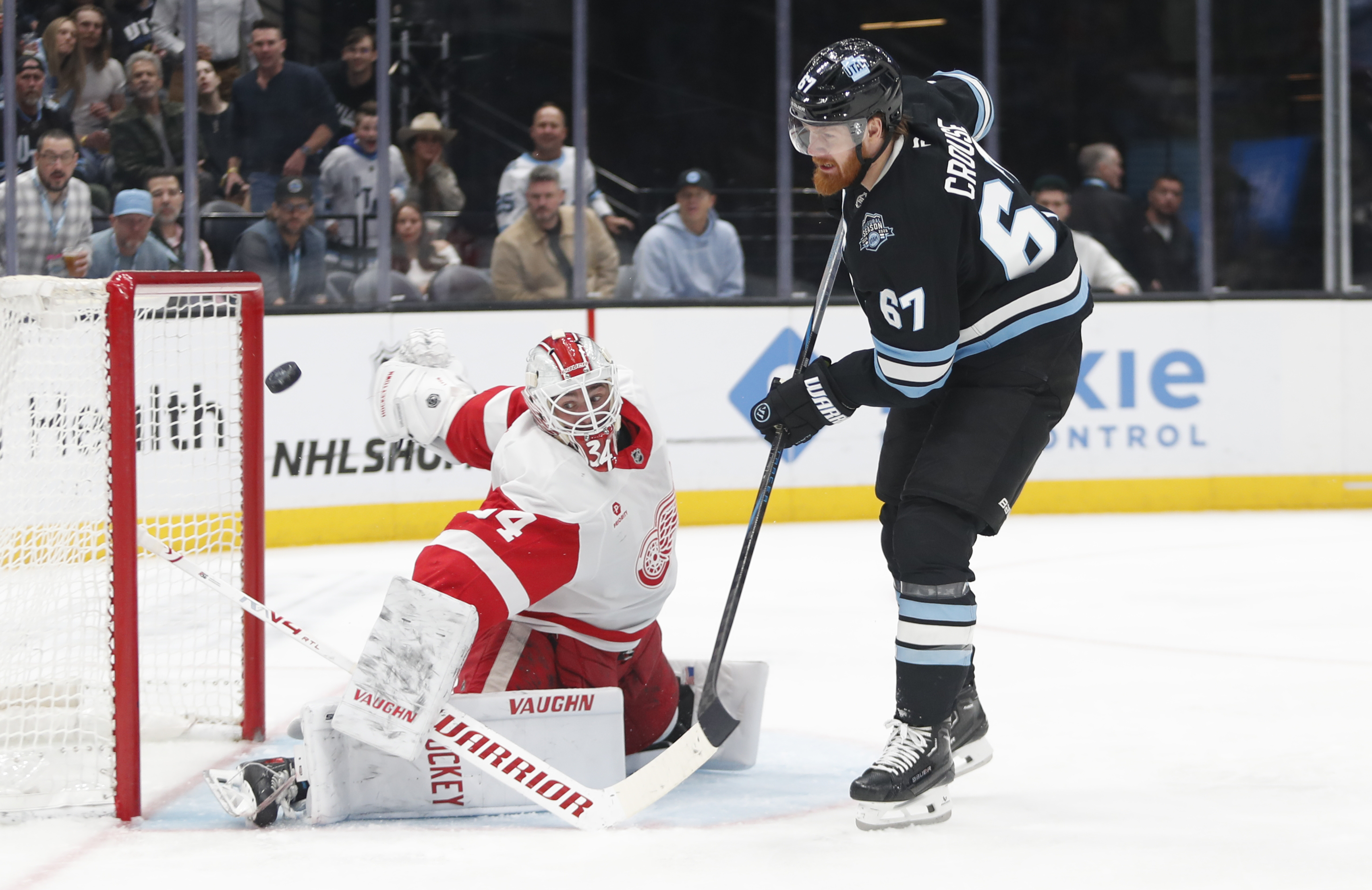How to Watch Red Wings vs Mammoth: Live Stream NHL, TV Channel
