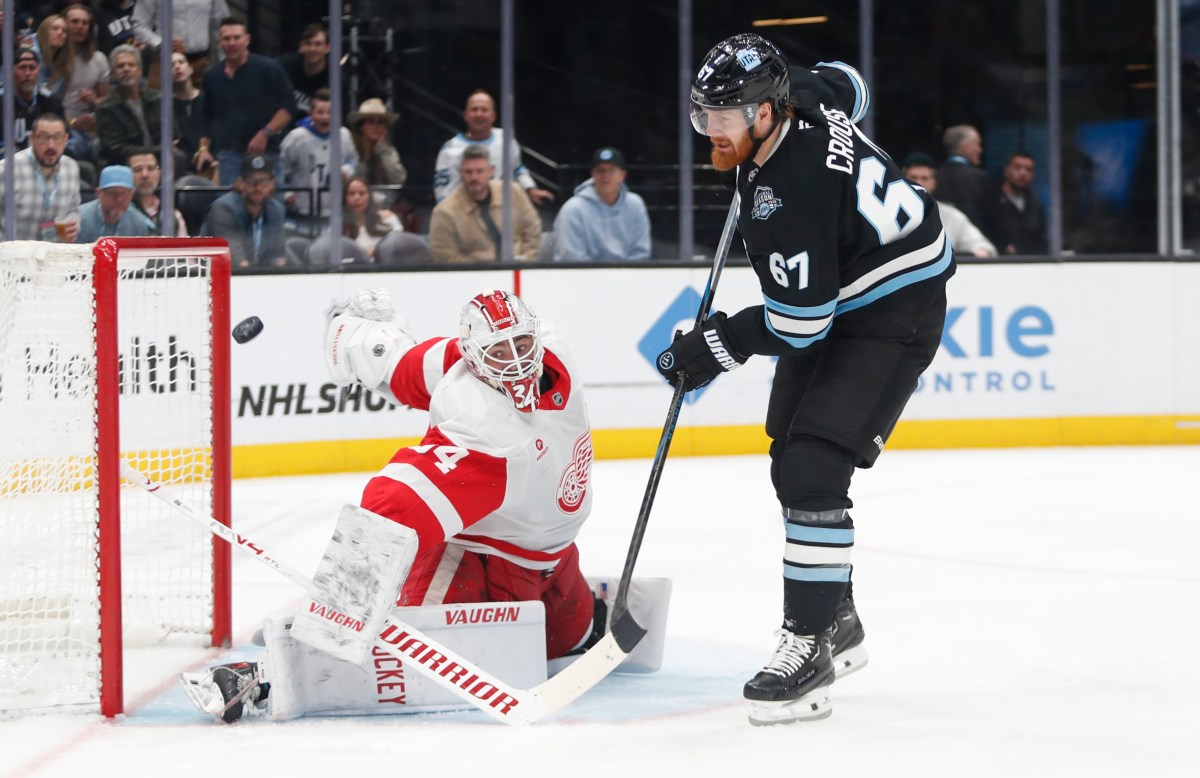 How to Watch Red Wings vs Mammoth: Live Stream NHL, TV Channel