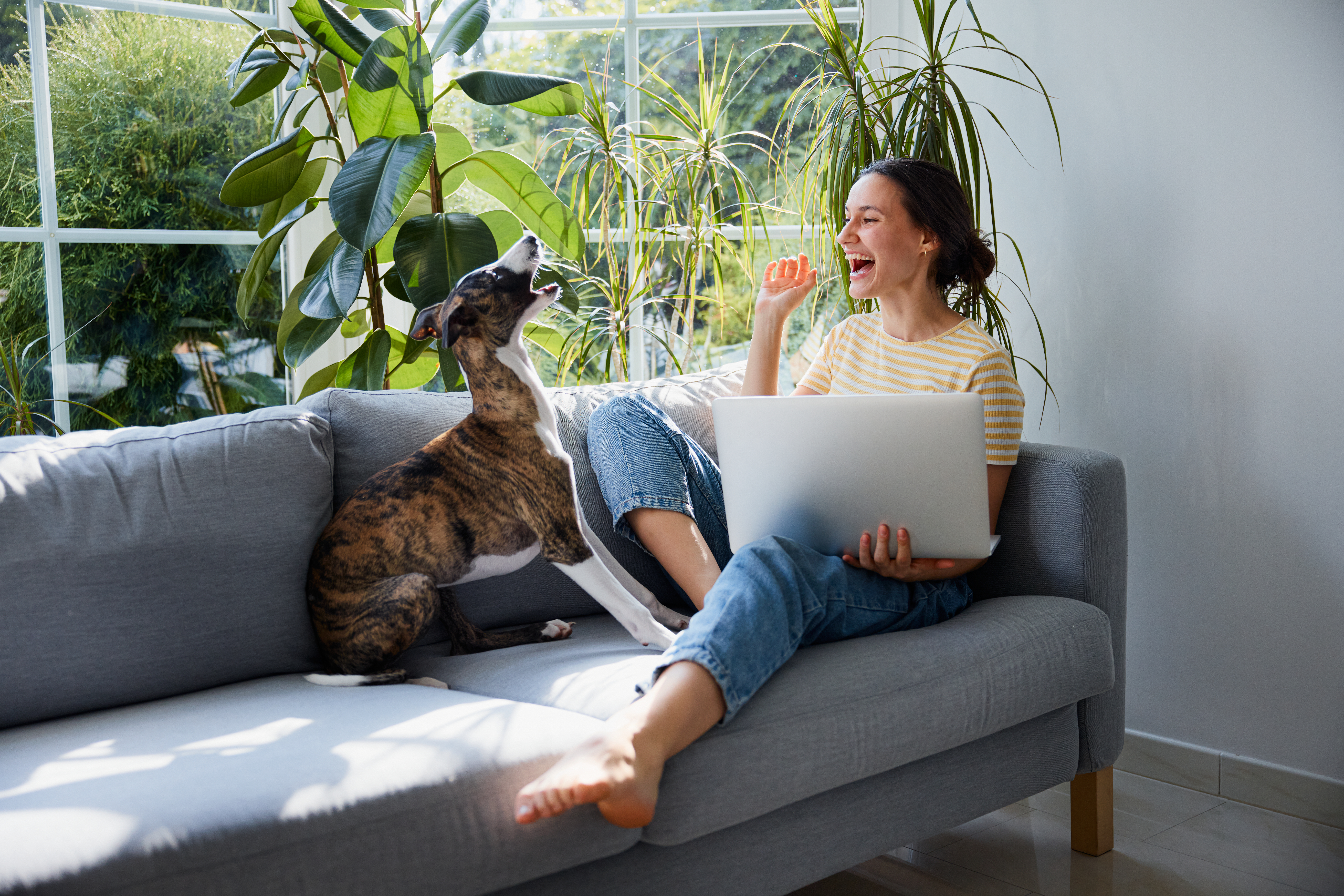 Dog Is ‘Good Boy’ During Work Calls—What He Expects in Return Goes Viral