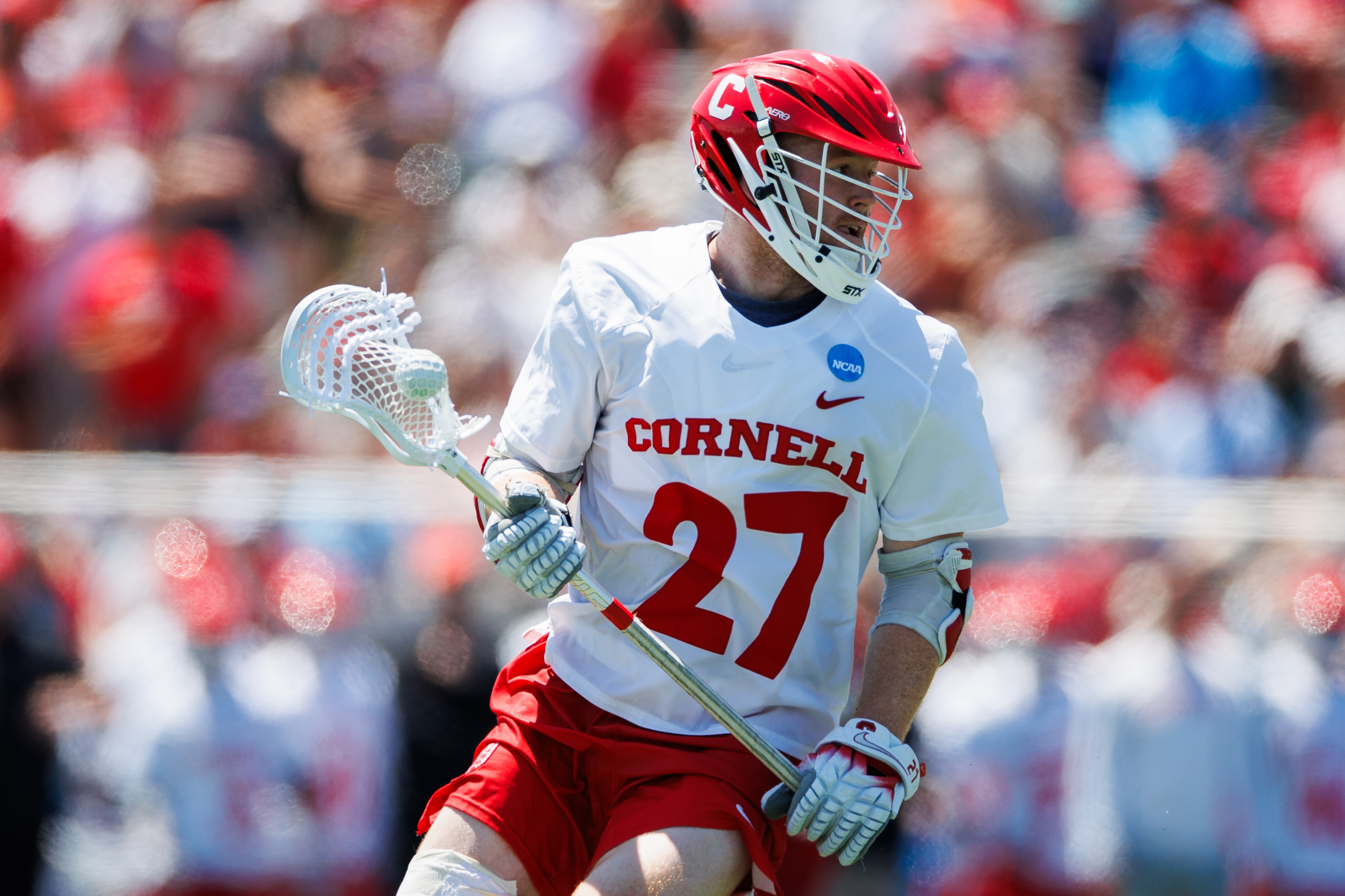 How to Watch Cornell vs Albany: Live Stream College Lacrosse, TV Channel