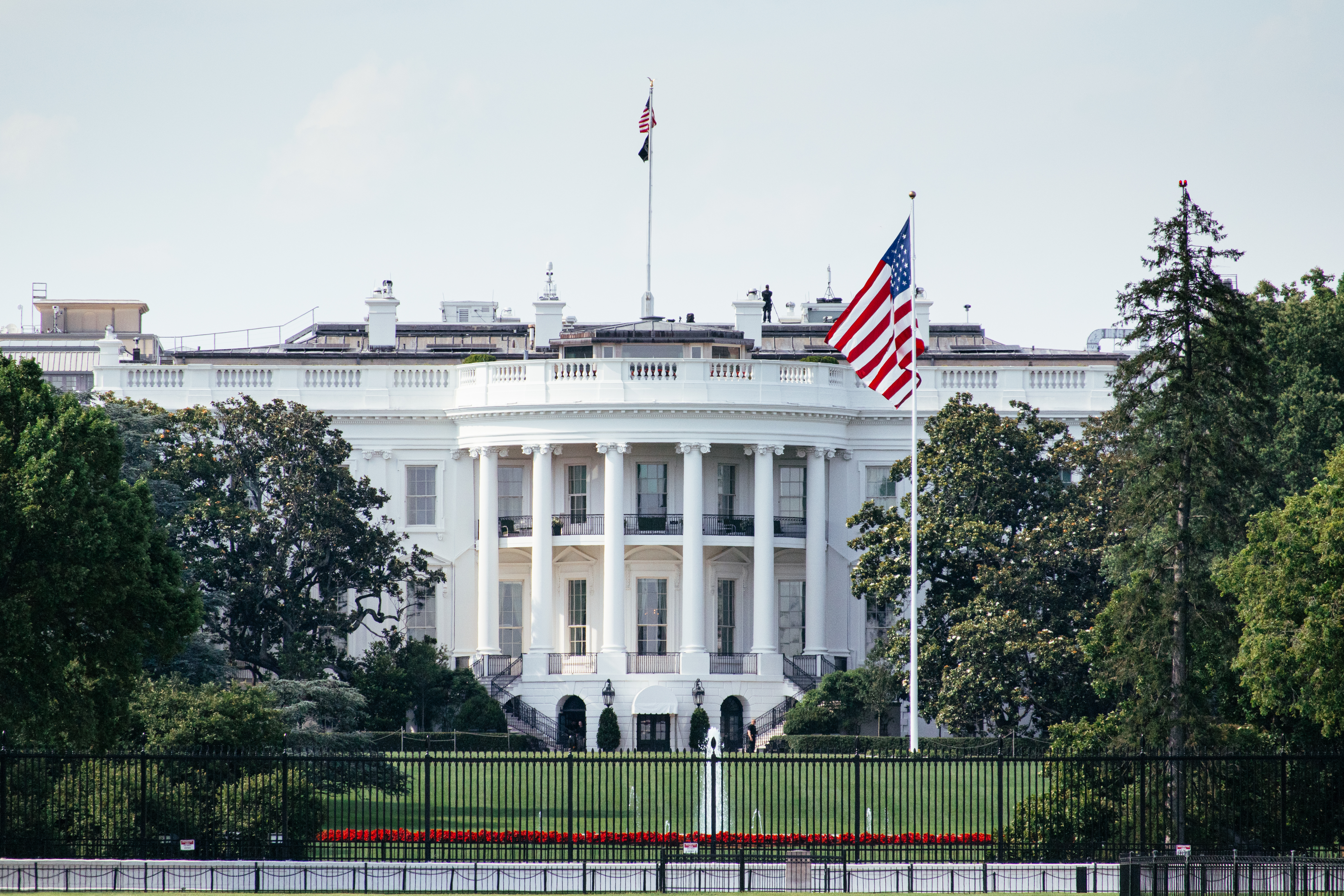 Democrats' 'Project 2029' Plans Spark Criticism Online