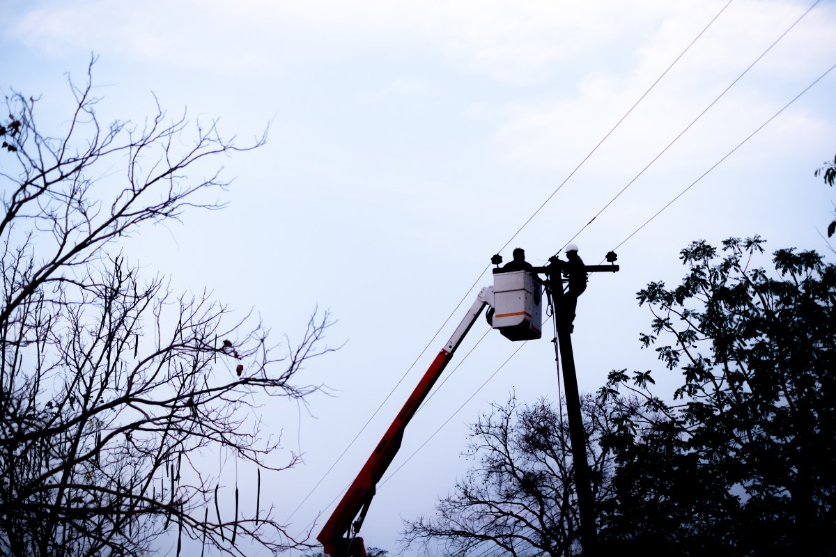 Horror over who woman realizes is stuck on power-line pole for 3 days