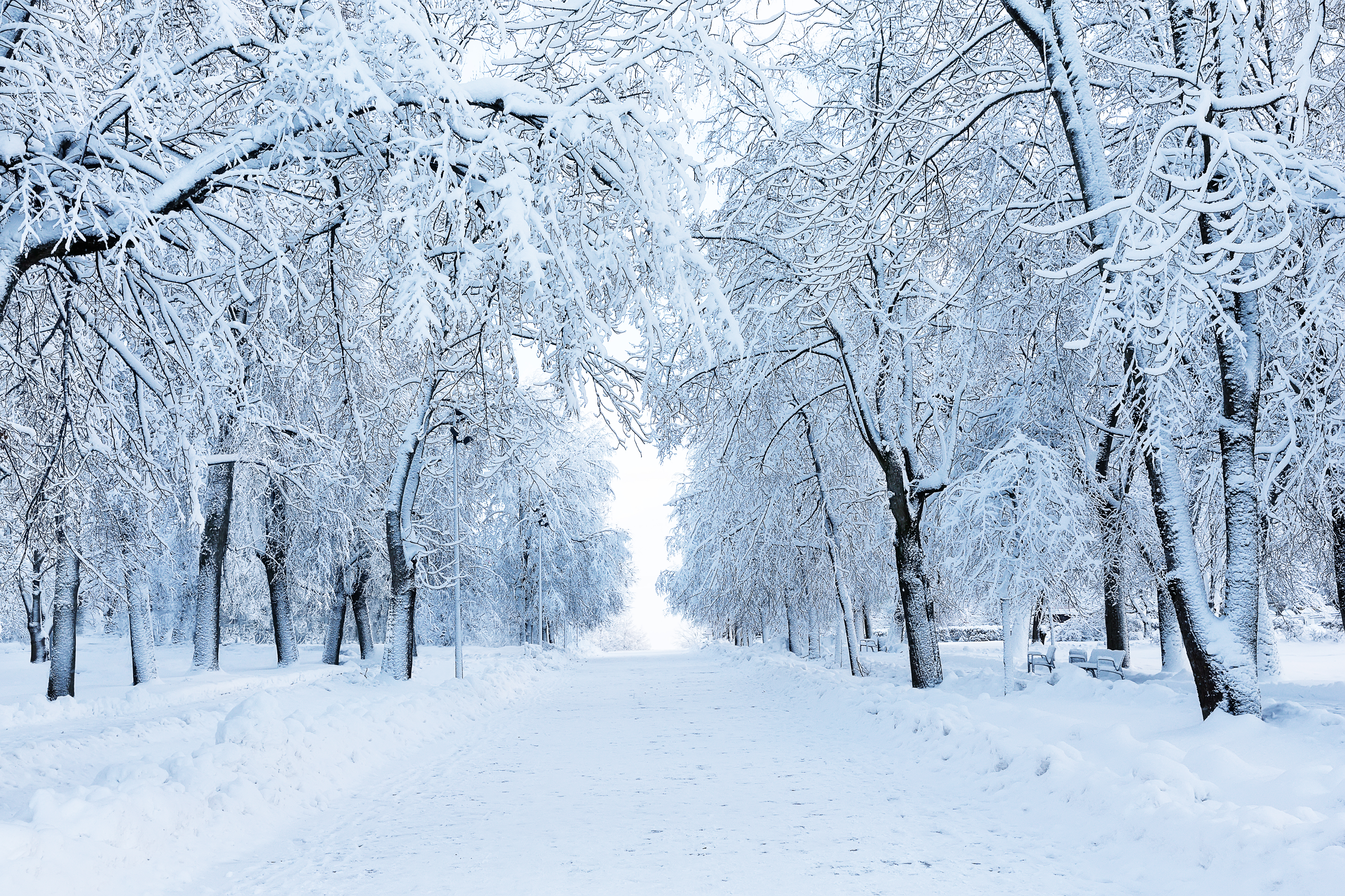 Heavy Snow and ‘Brutal Cold’ To Return to Eastern US: ‘Limit Time Outdoors’