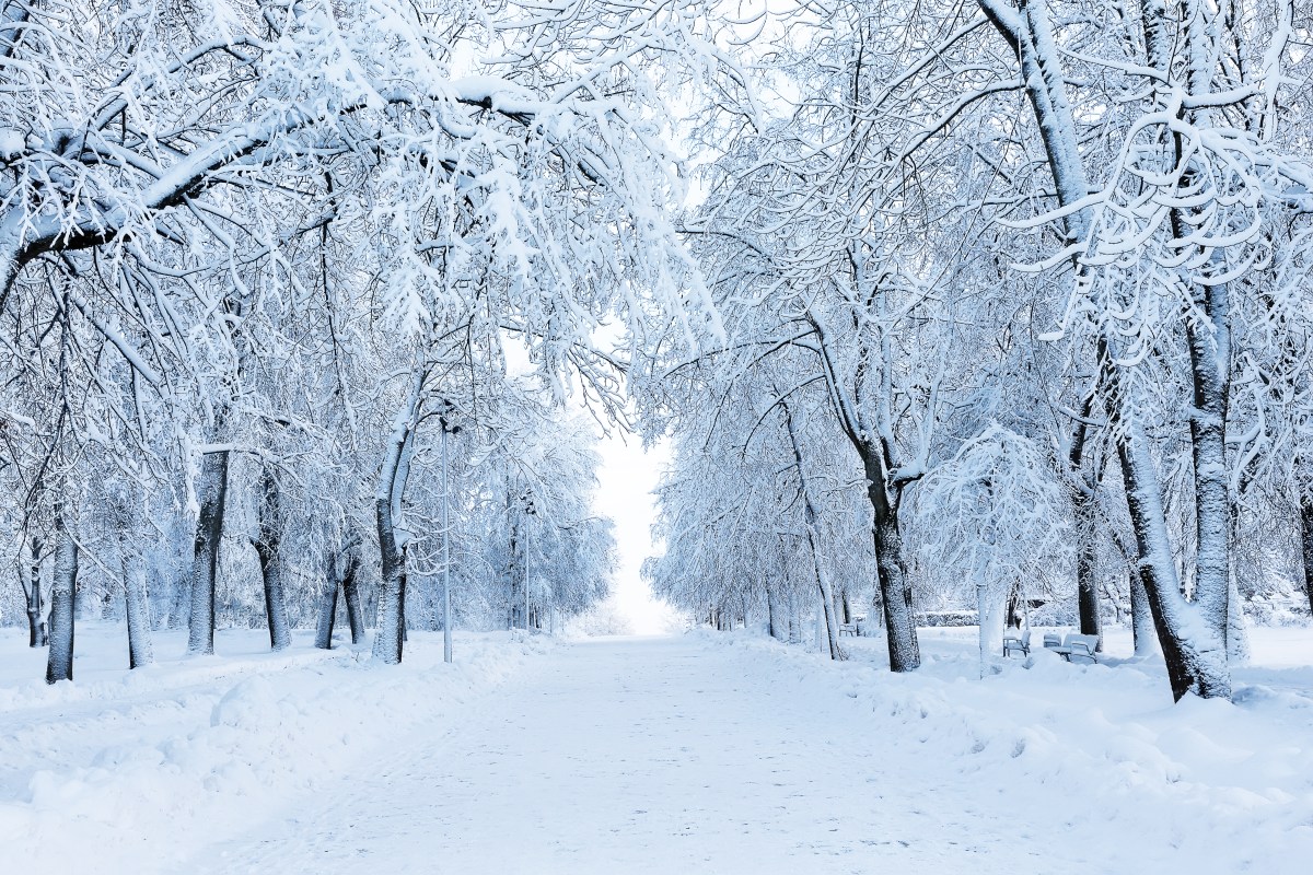 A Return to Winter's Grasp: Heavy Snow and Brutal Cold Sweep Across the Eastern US