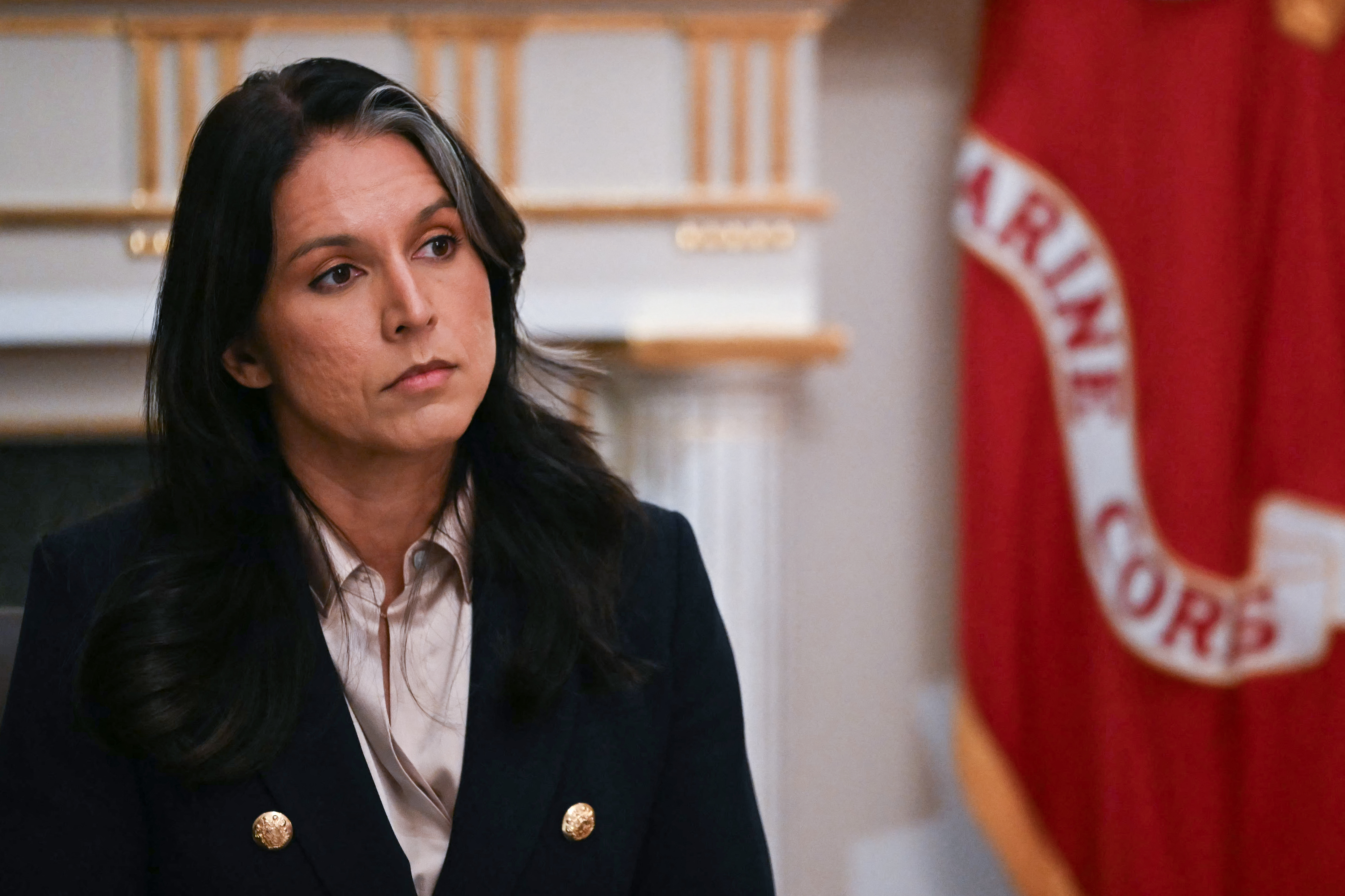 Tom Cotton Gives Update on Tulsi Gabbard 'Whistleblower' After Review