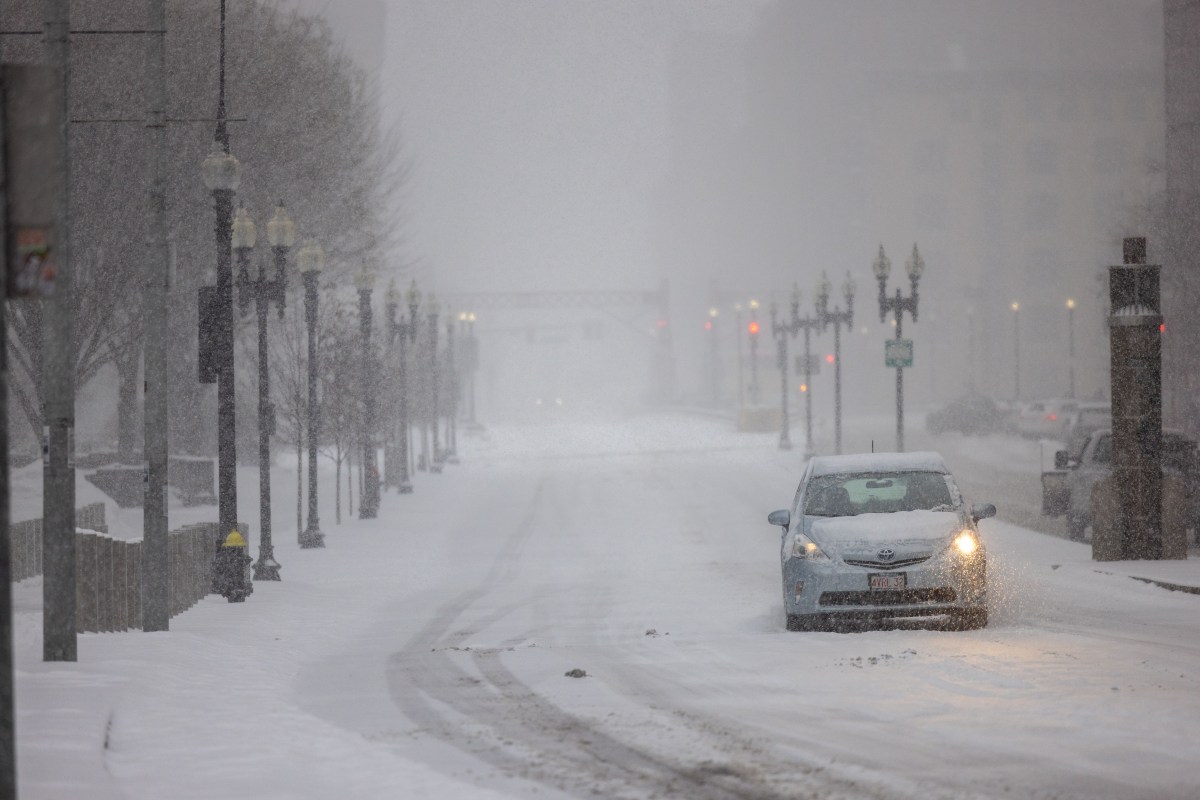 Winter Storm Warning As 9 Inches of Snow Spark 'Near Blizzard' Conditions