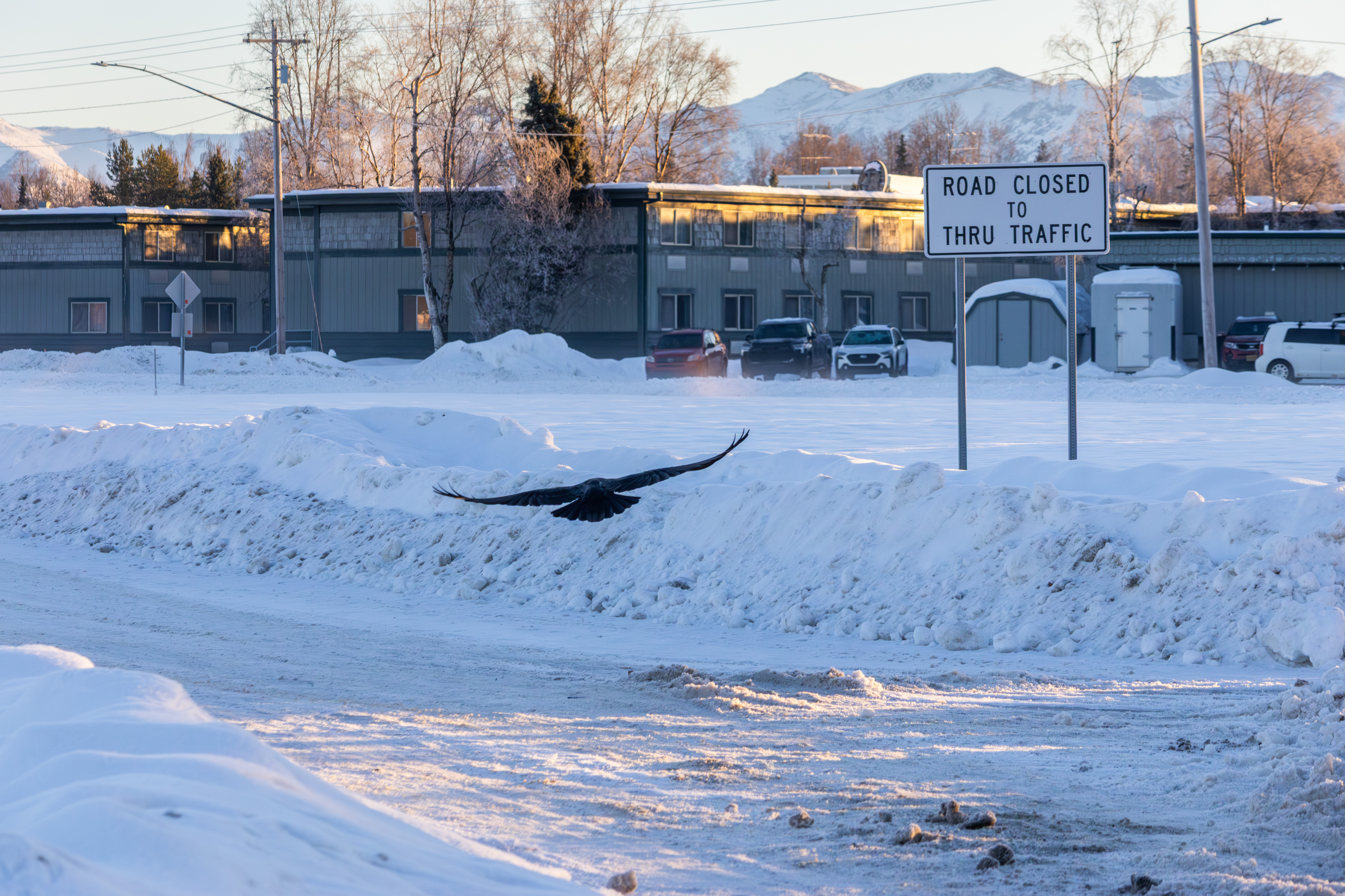Winter Storm Warnings for 11 States as ‘Record-Breaking Snowfall’ Strikes
