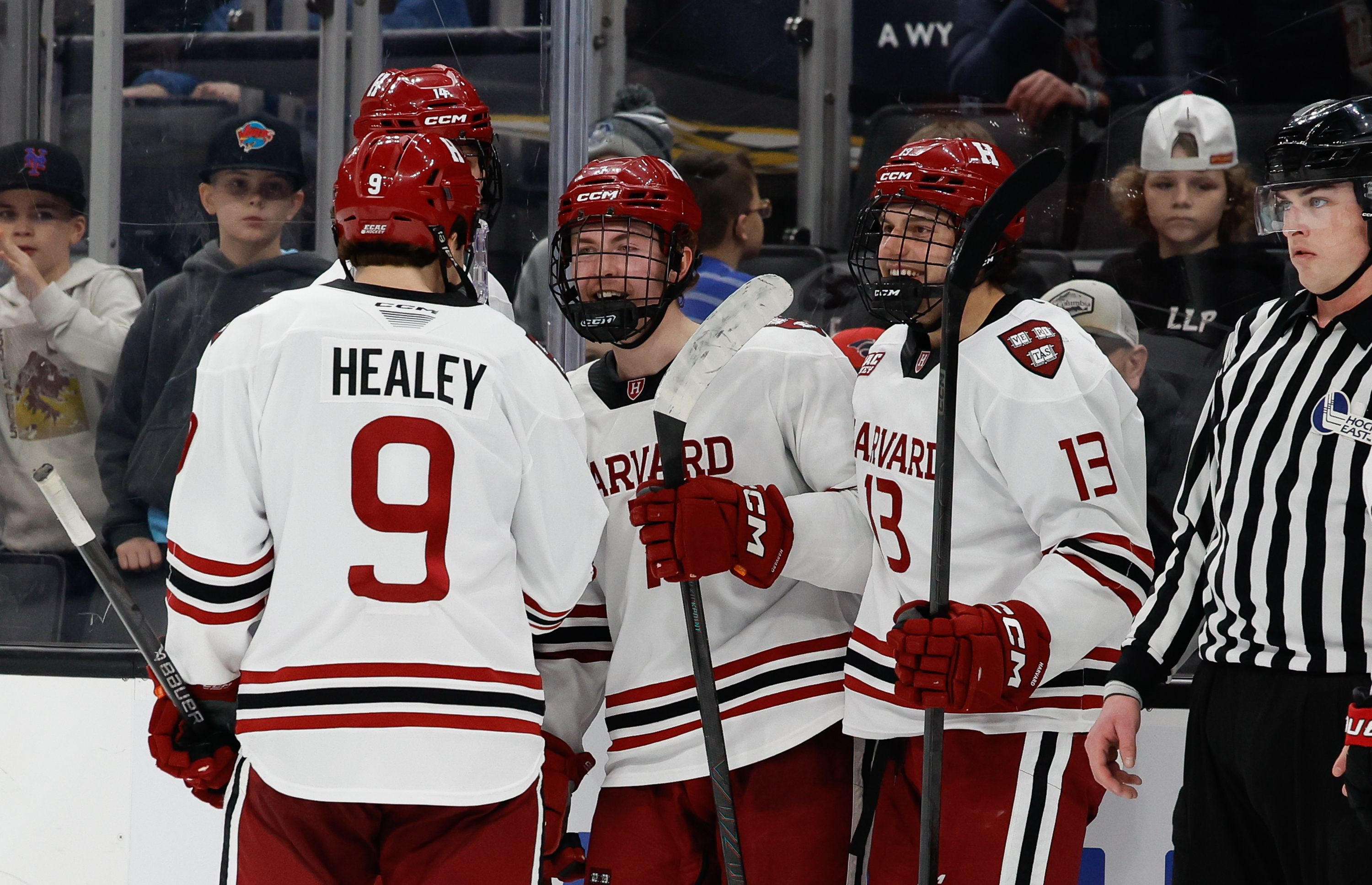 How to Watch Harvard vs Yale: Live Stream College Hockey, TV Channel