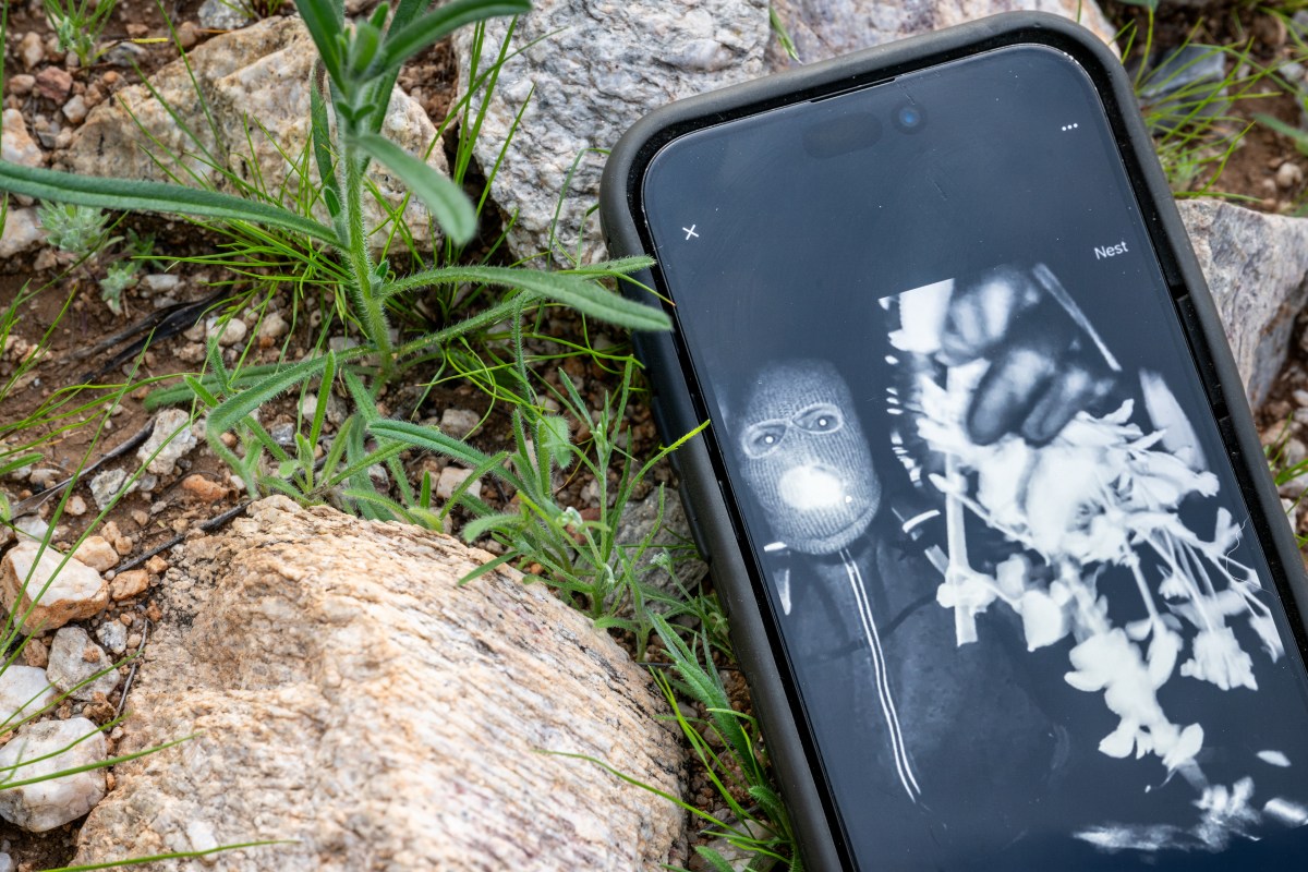 Mystery in Tucson: Hunt for Nancy Guthrie's Disappearance Takes a New Turn