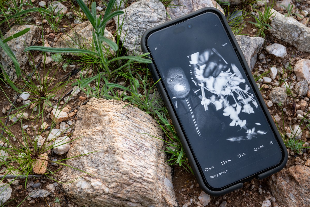 Nancy Guthrie Latest: Detained Man Released After Questioning as Search Enters 11th Day