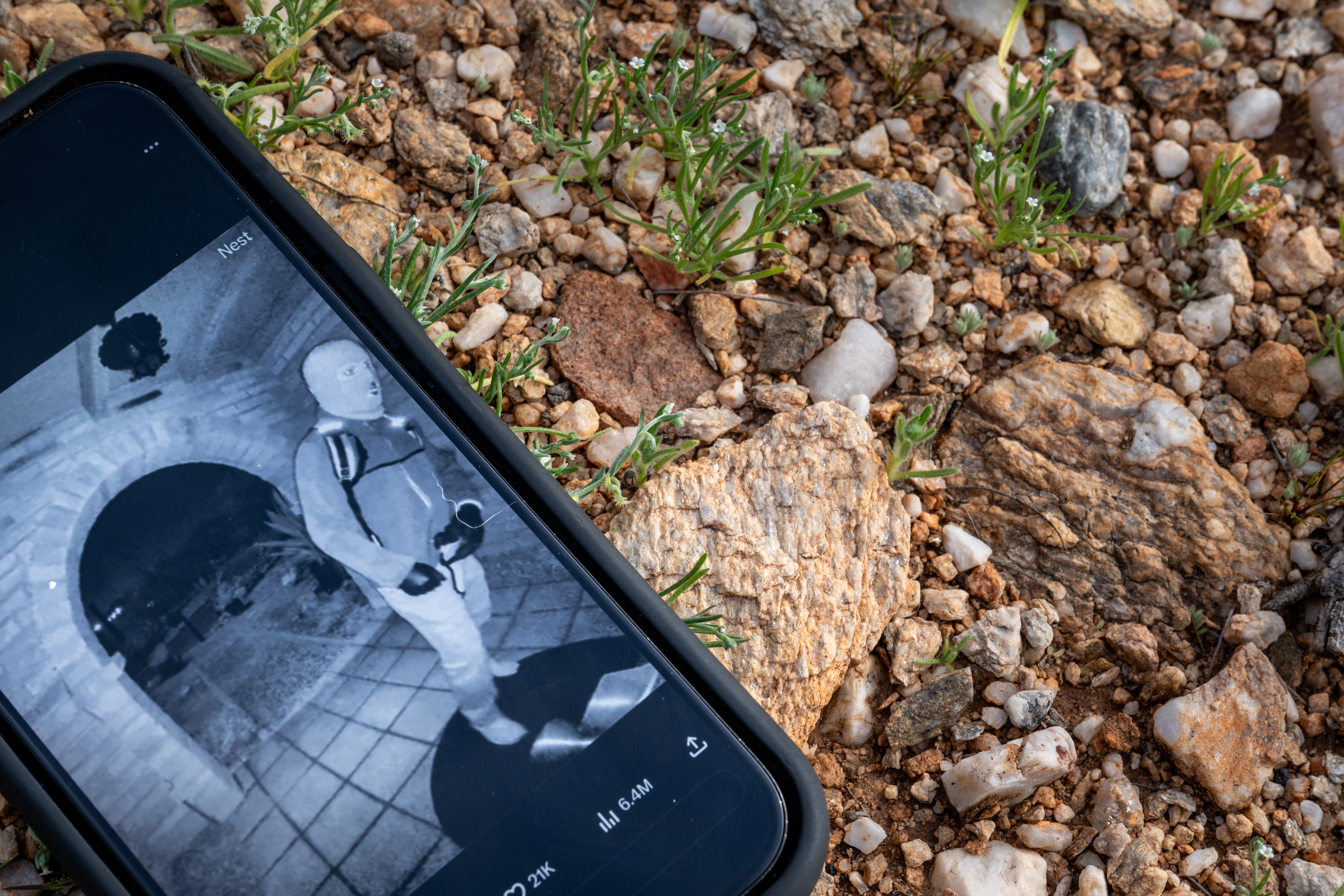 The Spy Next Door: Are Smart Doorbells Building a Surveillance State?