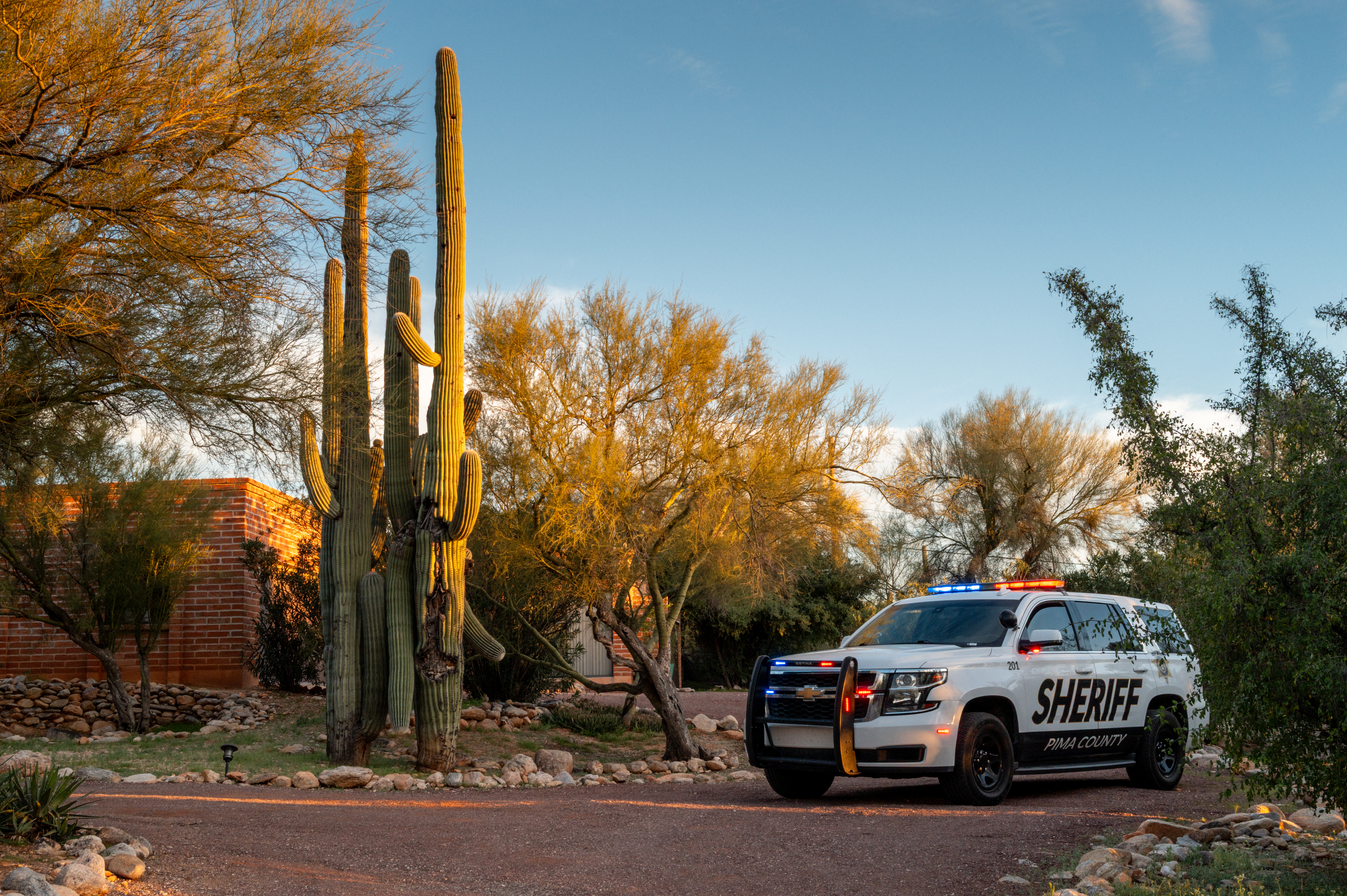 Nancy Guthrie Update: Expert Highlights 'More Significant' DNA Find