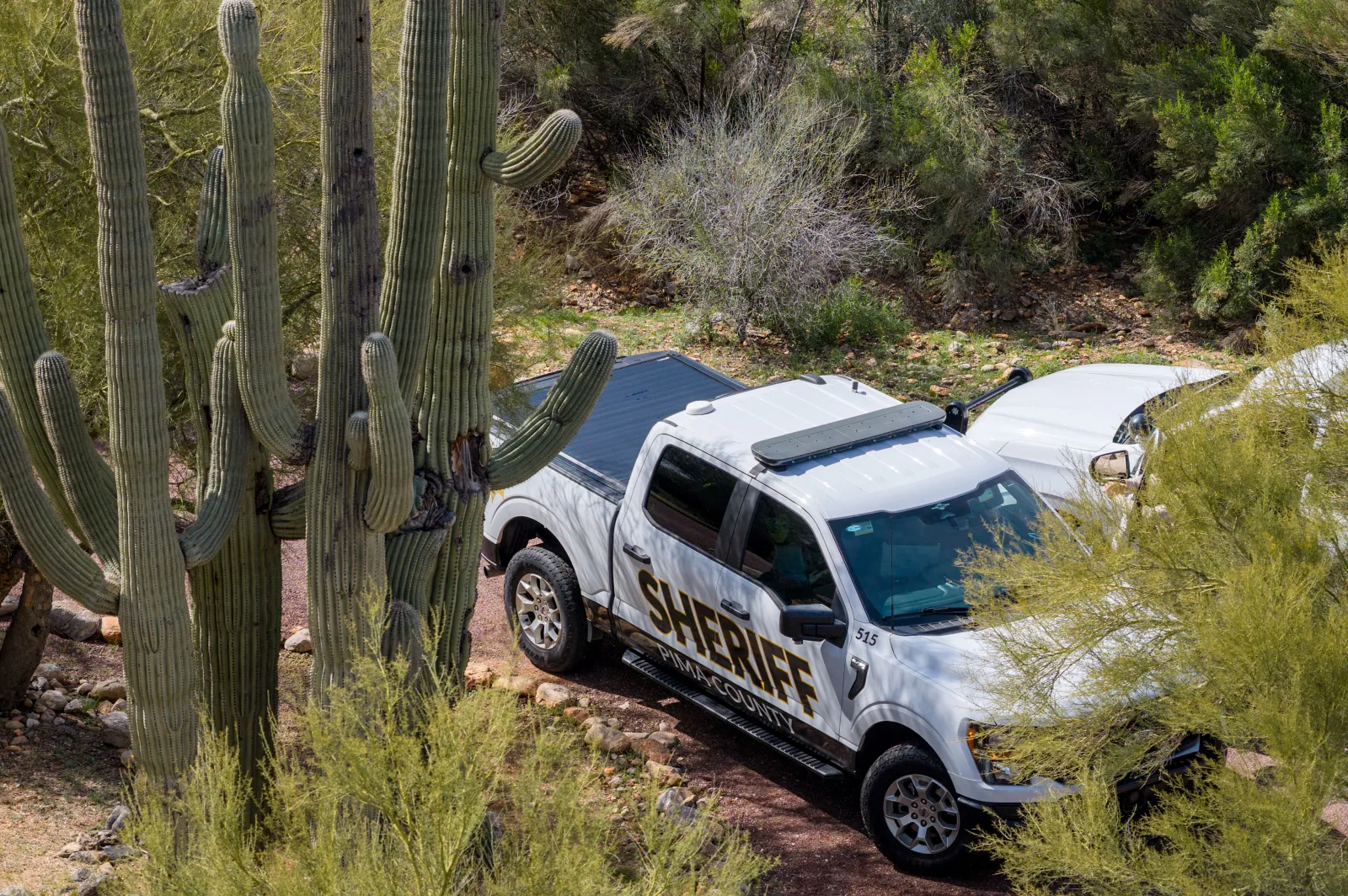 Nancy Guthrie Investigation Turns to Method That Caught Bryan Kohberger