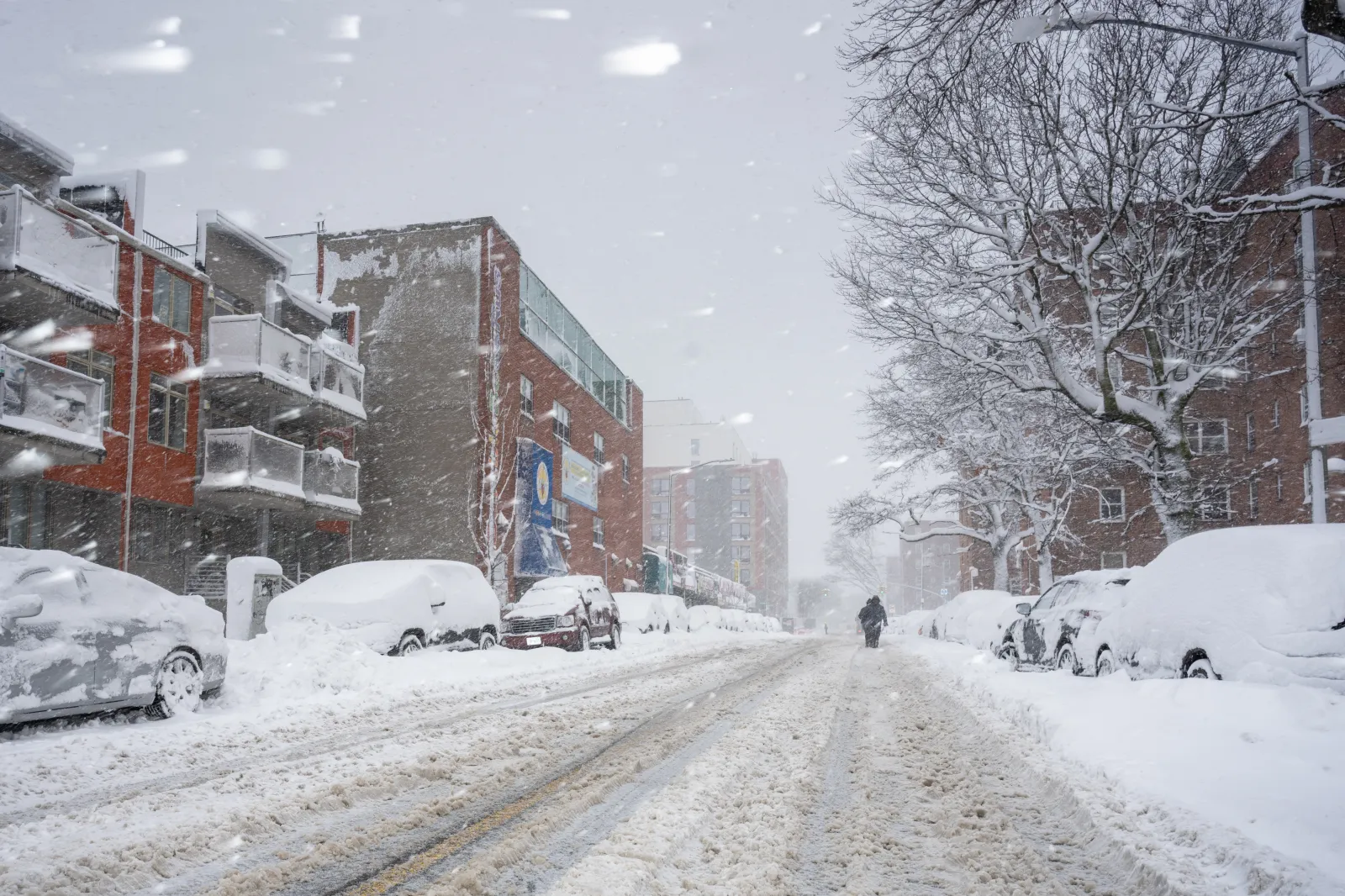 List of Schools Closed Tuesday as 36 Inches of Snow Hits - Newsweek