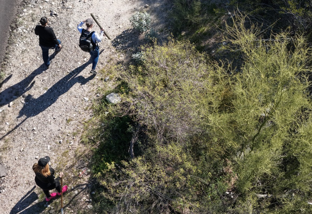 Nancy Guthrie Update: Backpack Found By Search Volunteers