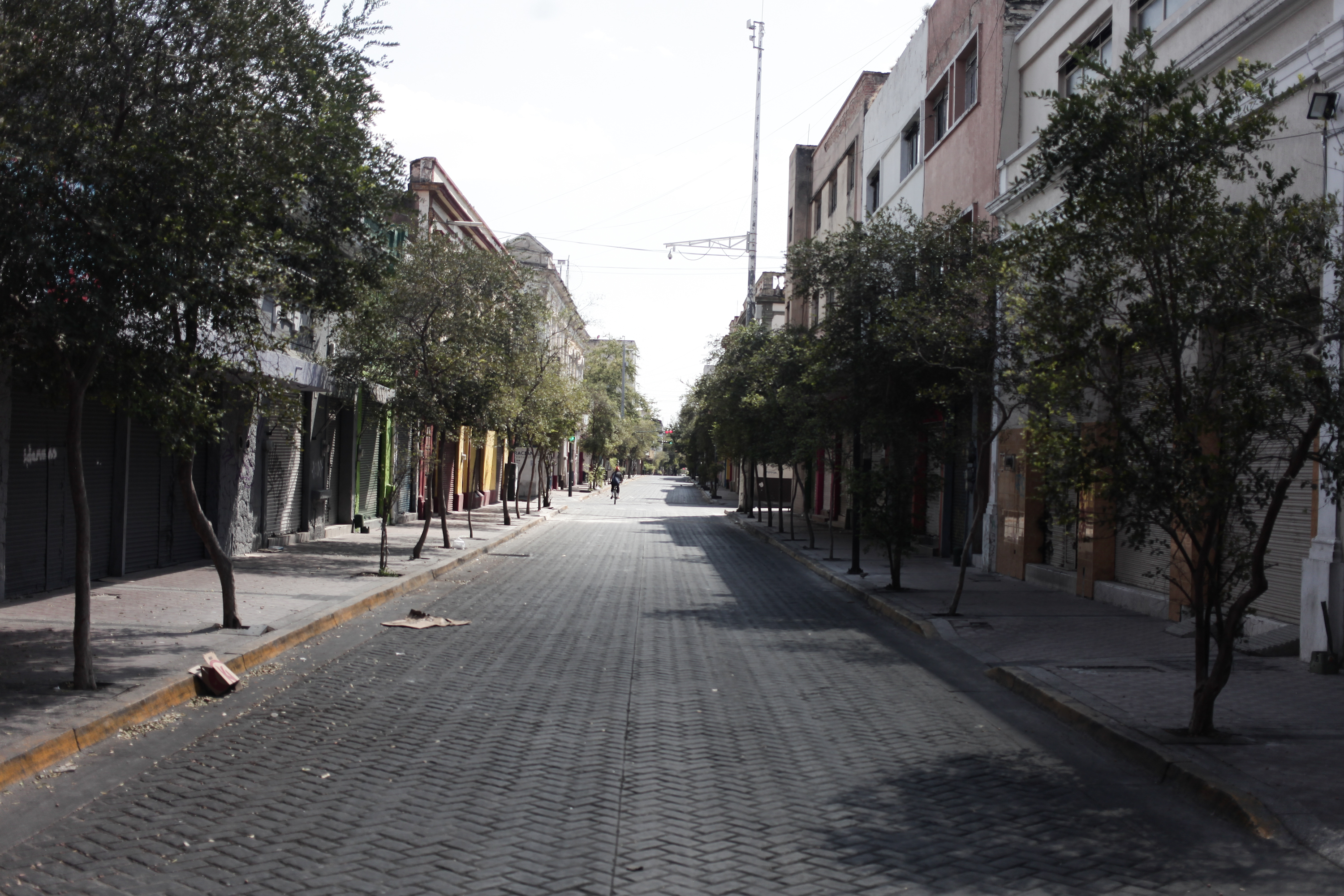 Life After El Mencho: How Guadalajara Survived Three Days of Chaos