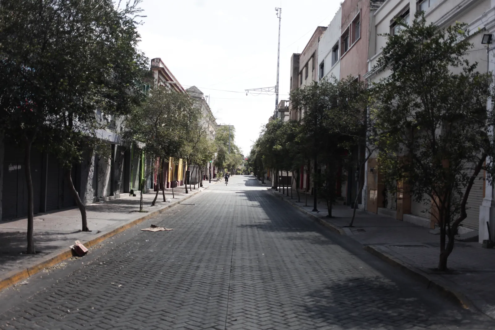 Life After El Mencho: How Guadalajara Survived Three Days of Chaos
