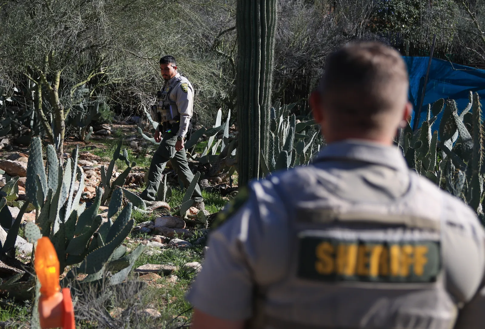 Image for article: Nancy Guthrie Update: Recovered Backpack Not Linked To Case