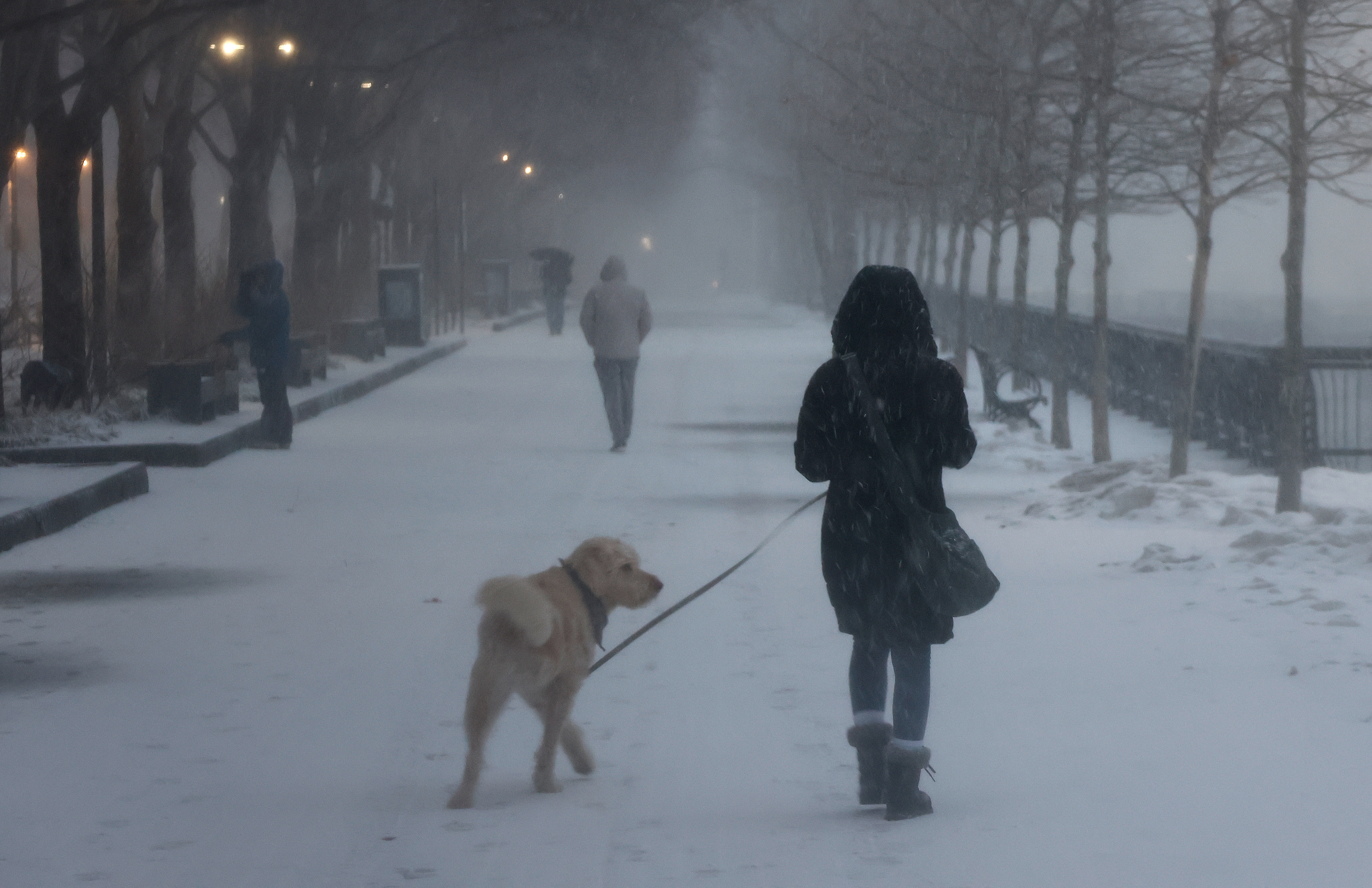 Pet Warning Issued as Powerful Storm Brings Blizzard Conditions: 'Deadly'