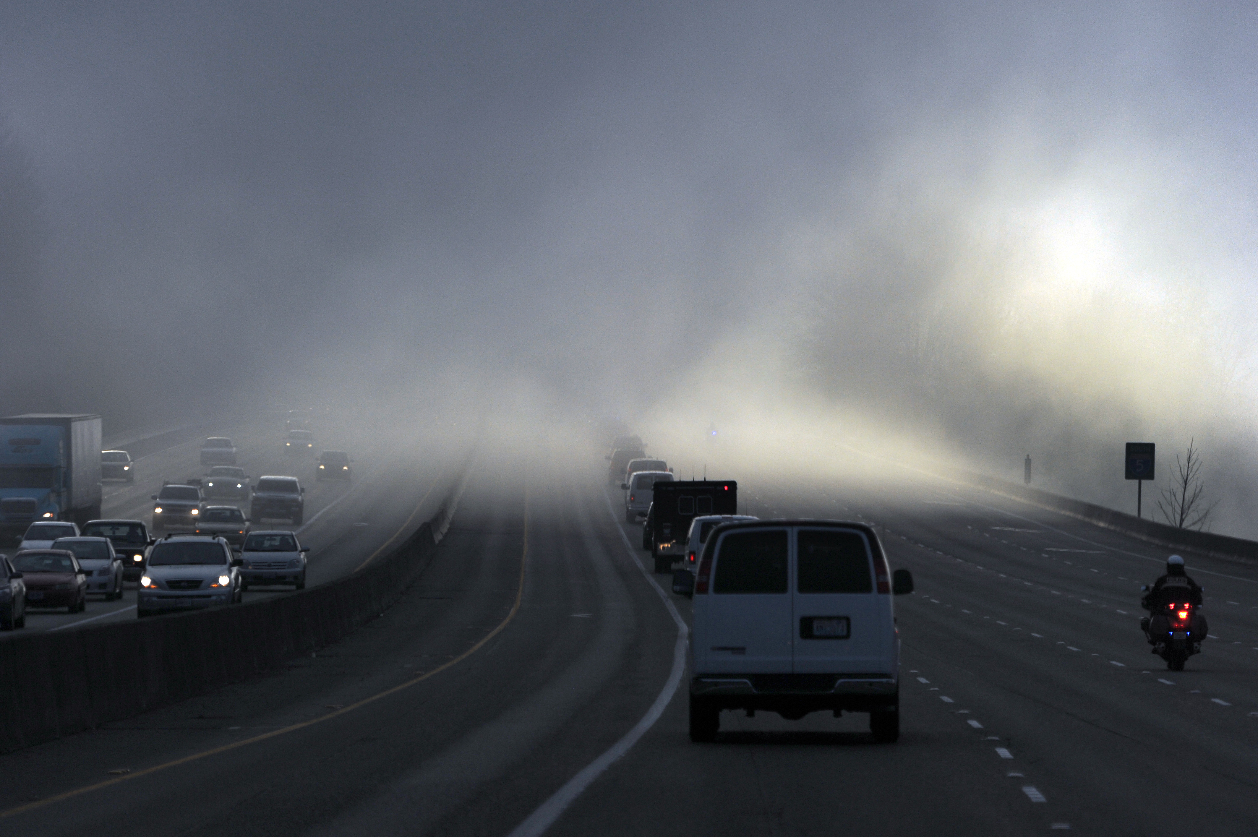 Dense Fog Sparks Warning For Drivers: 'Hazardous'
