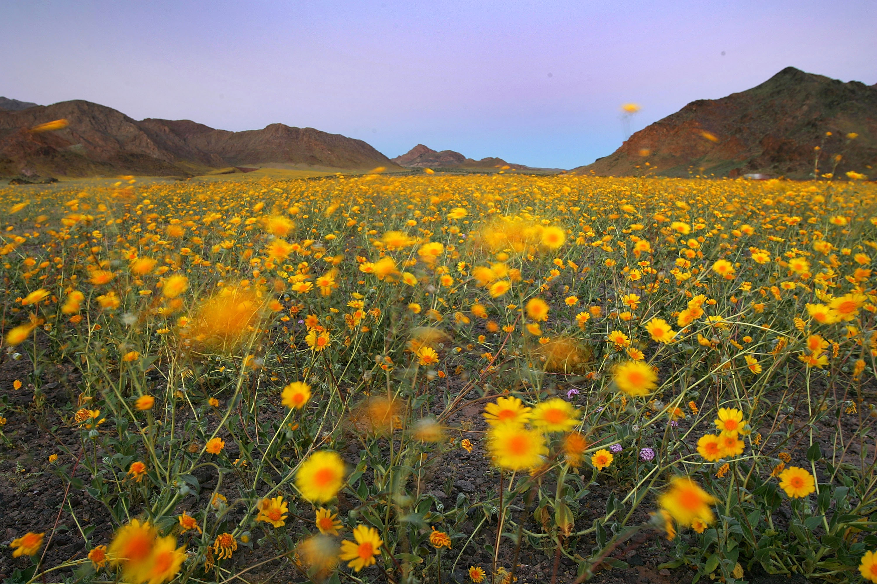 National Park Could See Rare Phenomena This Year