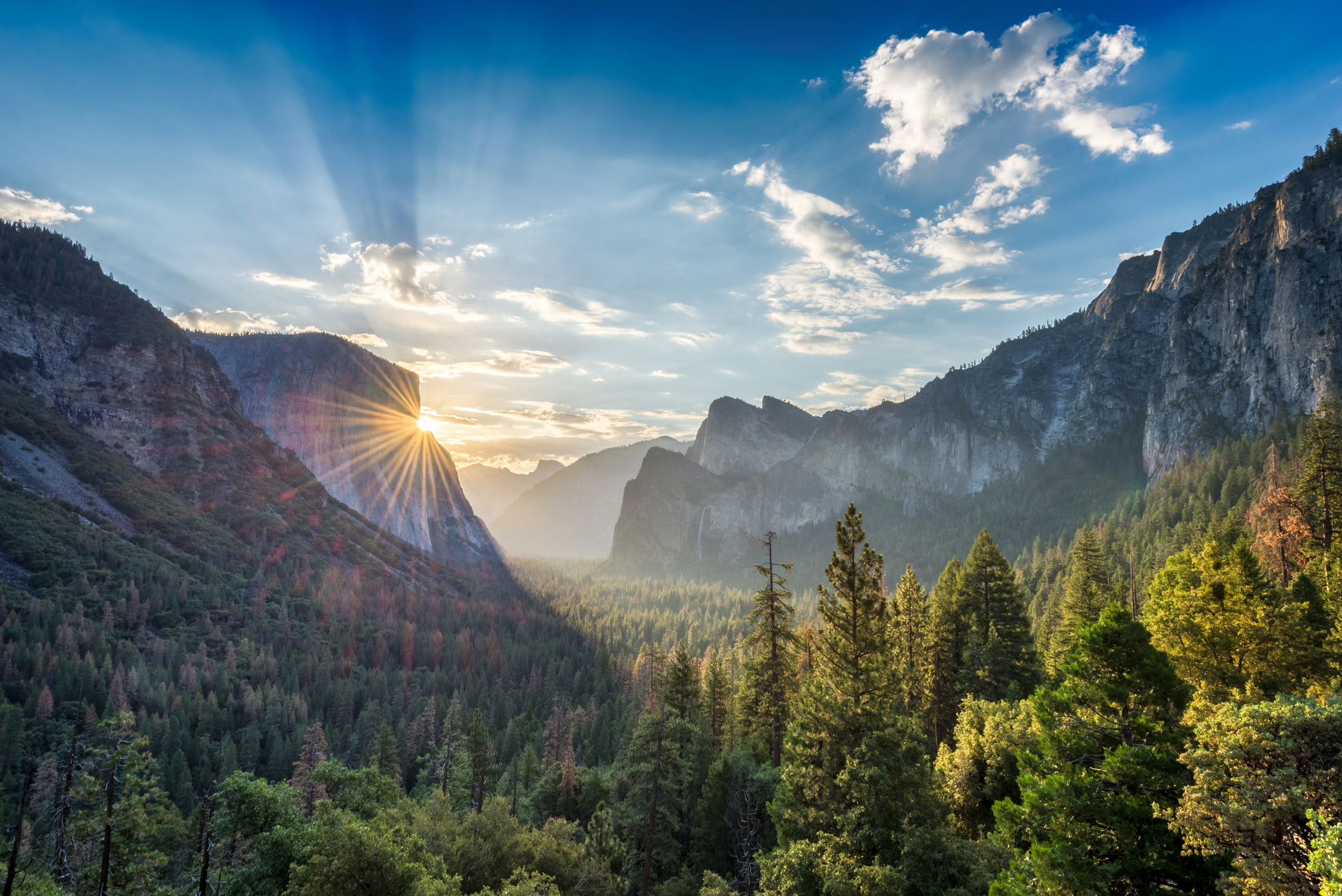 DOI Hits Back at Criticism Over Trump's National Parks Move