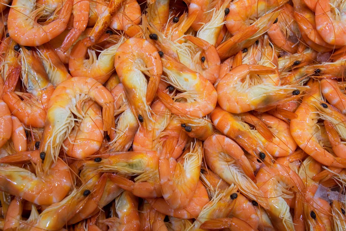 Shrimp recall update as FDA sets risk level