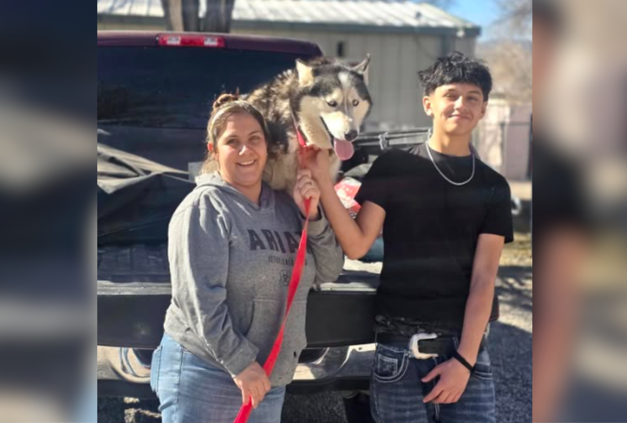 Dog Missing for 7 Years Sees Owners, Tears at What He Instantly Does