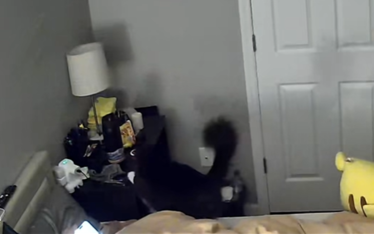 Woman Baffled Over Husband’s Missing Meds—Then Security Cam Revealed Truth