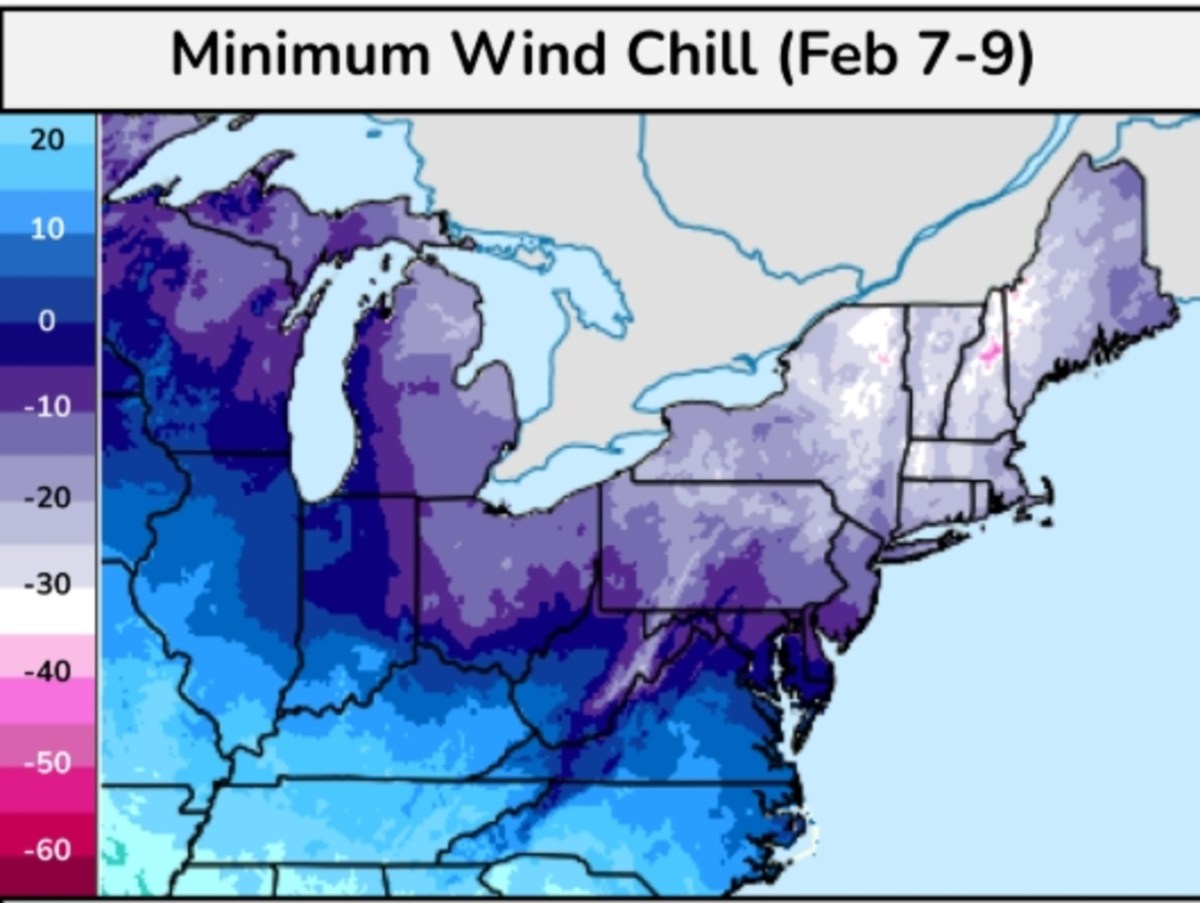 The Impact of the Arctic Blast on U.S. States: A Historical Lens