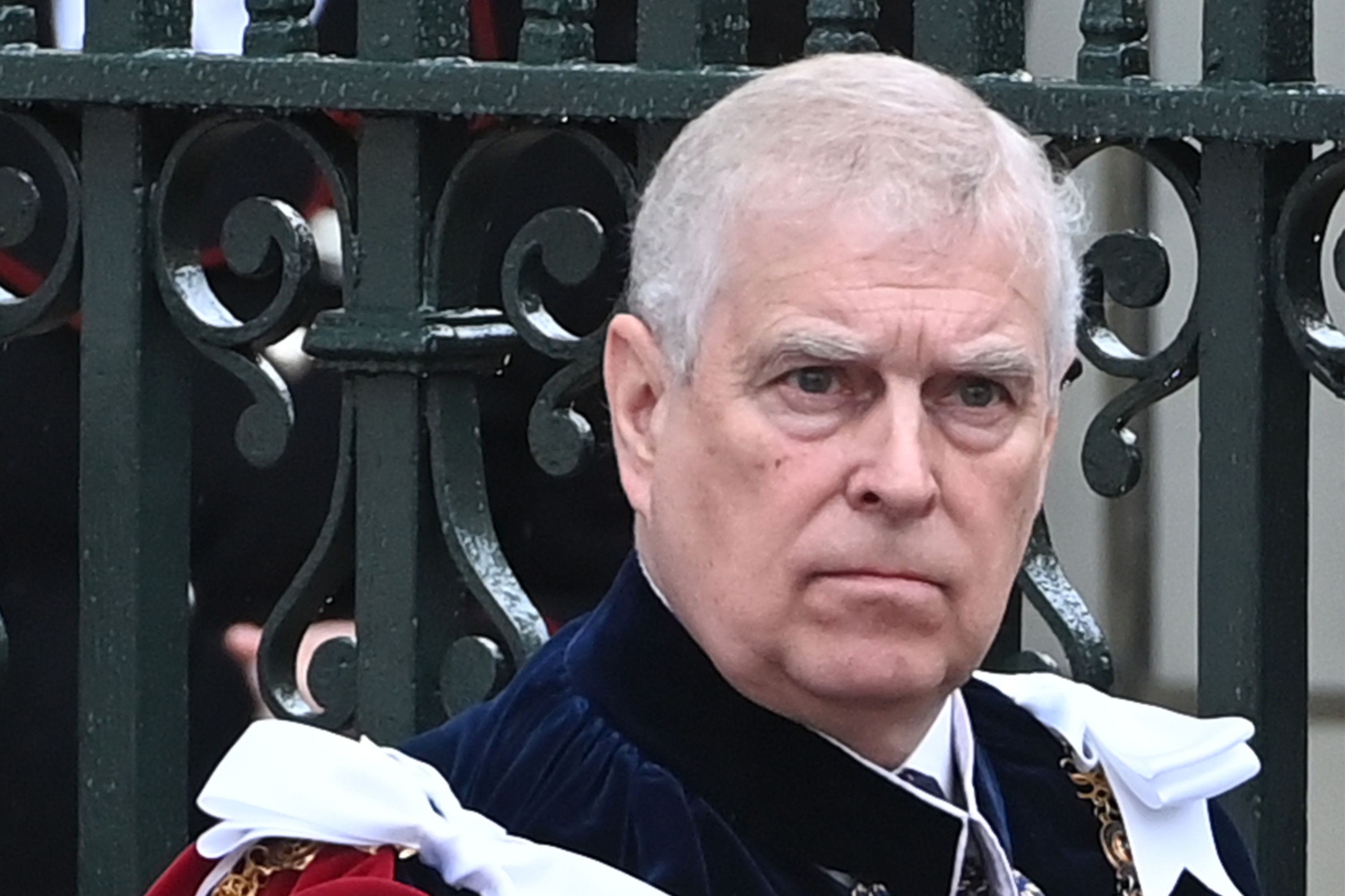 Ex-Prince Andrew Should Have Been Investigated by UK Spies—Cop