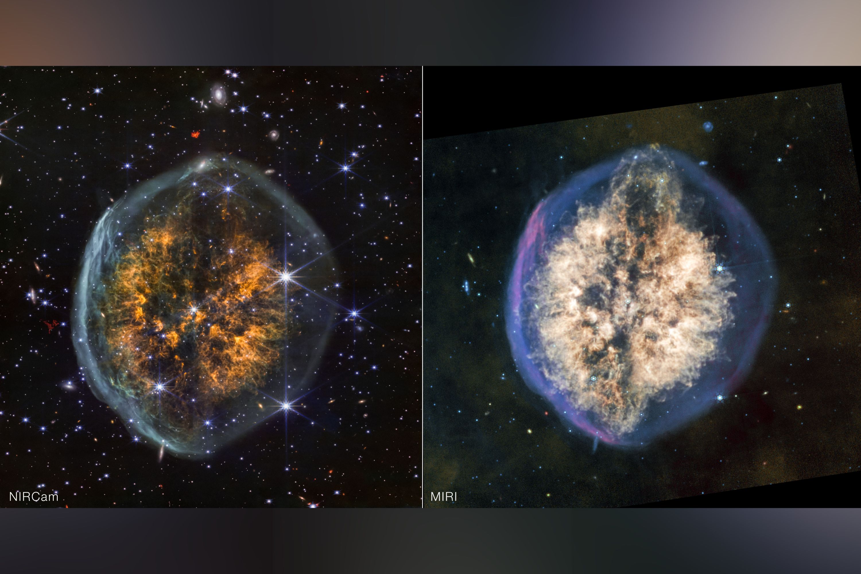 NASA’s Webb Spots Nebula That Looks Strikingly Like a Cosmic Brain