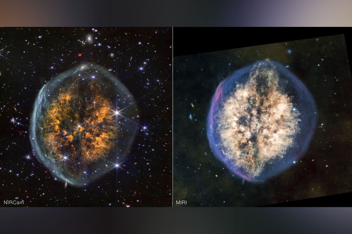 NASA's Webb spots nebula that looks strikingly like a cosmic brain