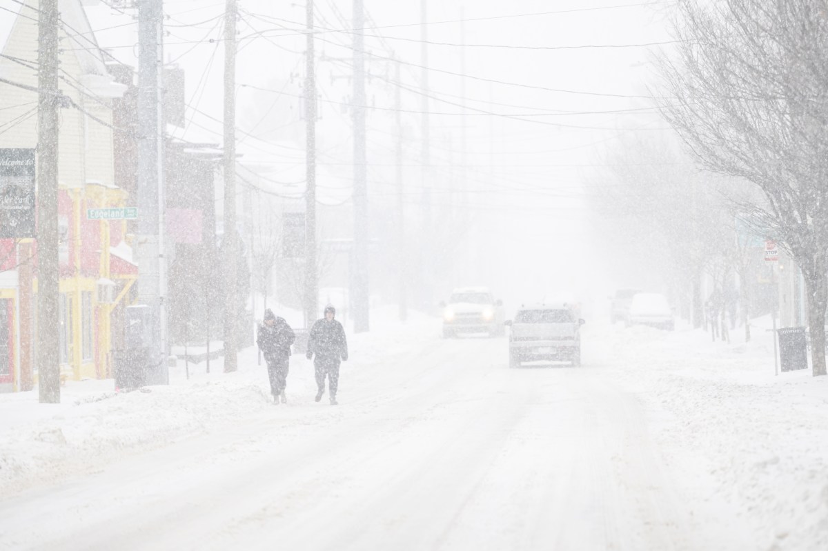 Winter Storm Warning Brings 20 Inches of Snow—‘Delay All Travel’ - Newsweek