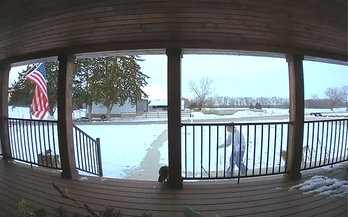 Woman Taking Out Trash Hears 'Meow'—Unprepared for What Ring Cam Captures