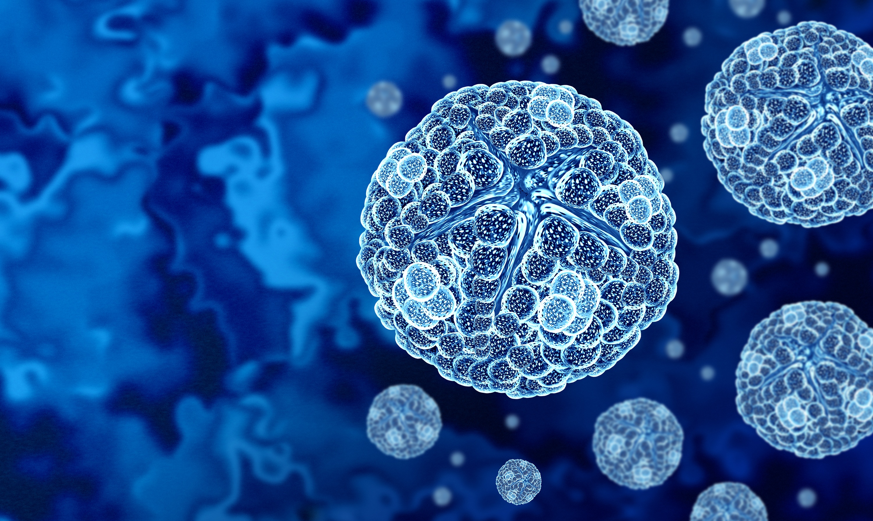 Seychelles Mosquito Virus Outbreak: What To Know About Chikungunya