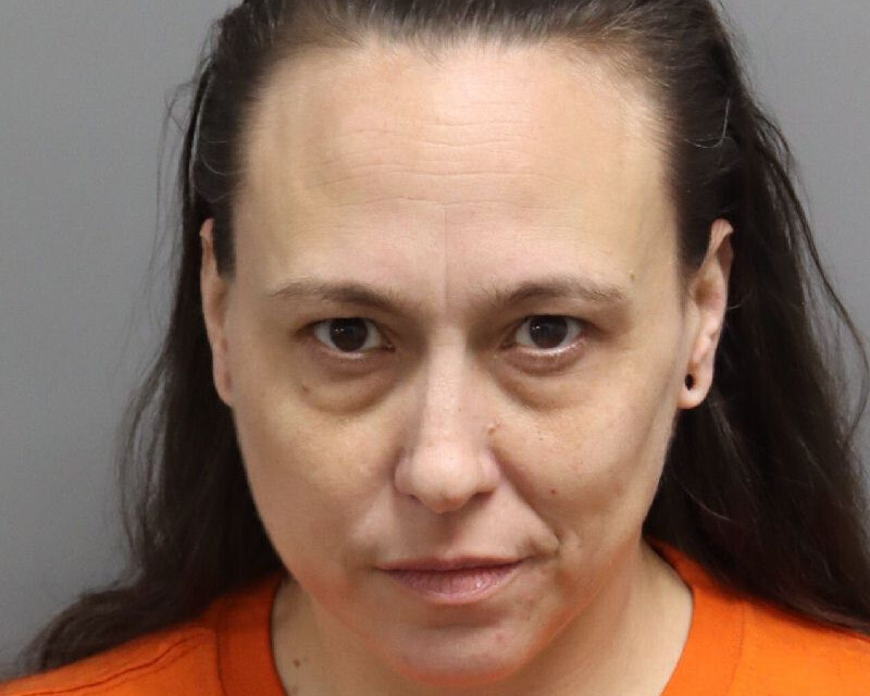 Woman charged after joining anti-ICE teen group chat