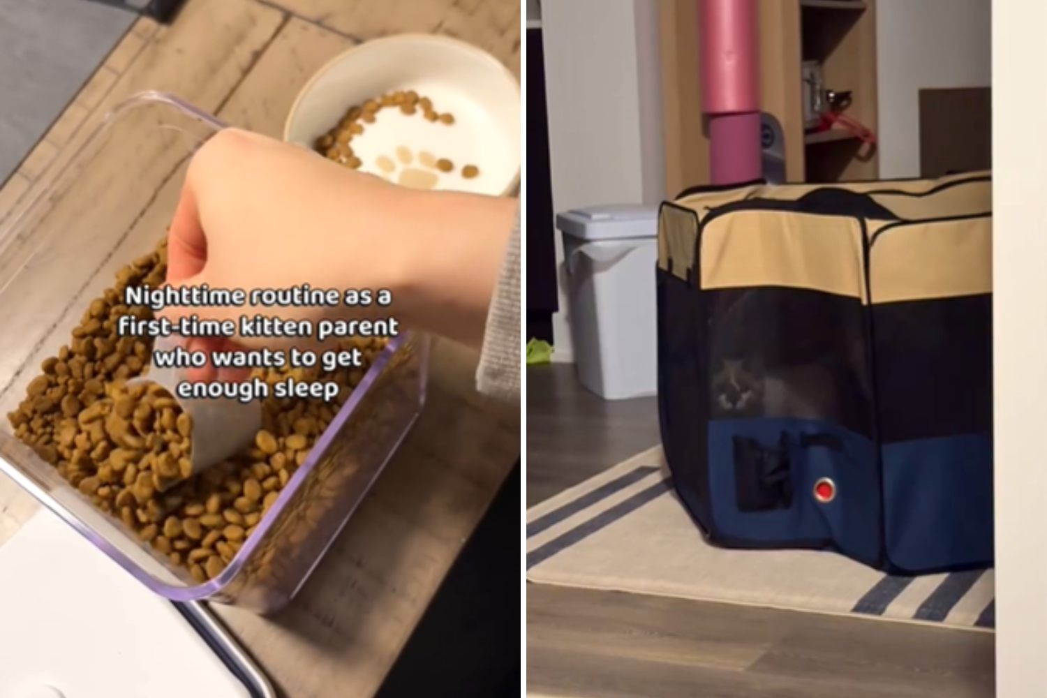 Woman Reveals Night Routine With New Kitten—Admits Some People Aren’t Happy