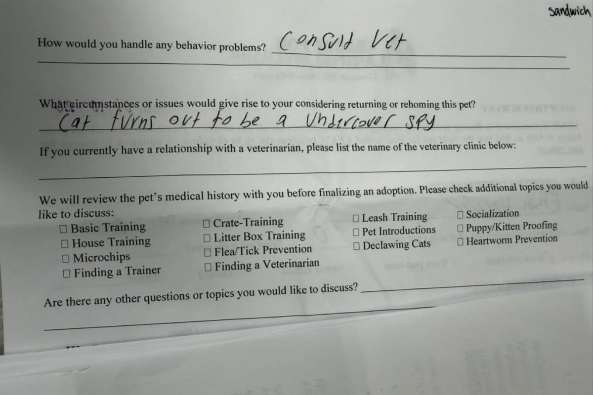 Vet Not Prepared for the One Reason Owner Gives for Why She&rsquo;d Surrender Cat