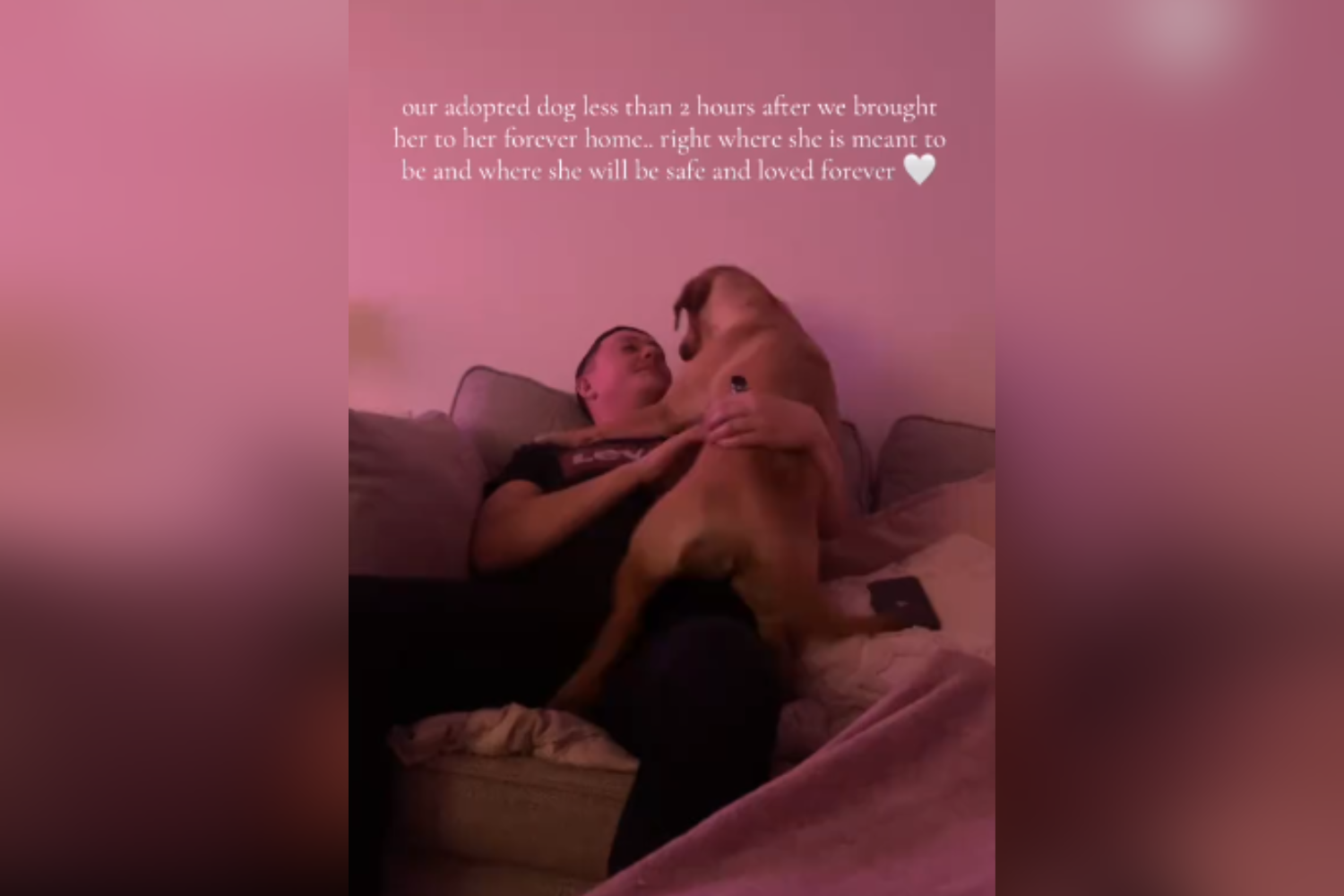 Newly Adopted Dog Comes Home—Hearts Break at What He Does 2 Hours Later