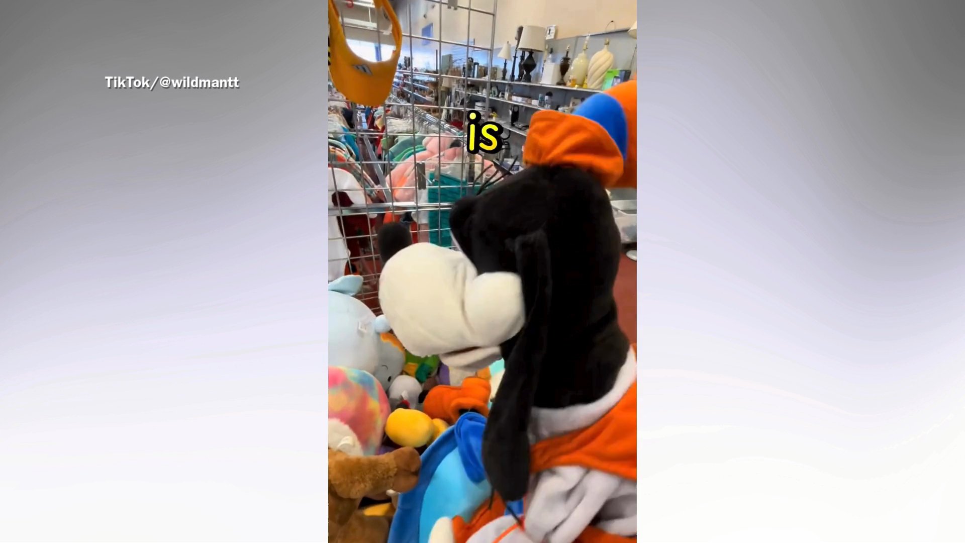Man Thrifts Disney Plush, Word On Label Sparks Realization He Hit âJackpotâ