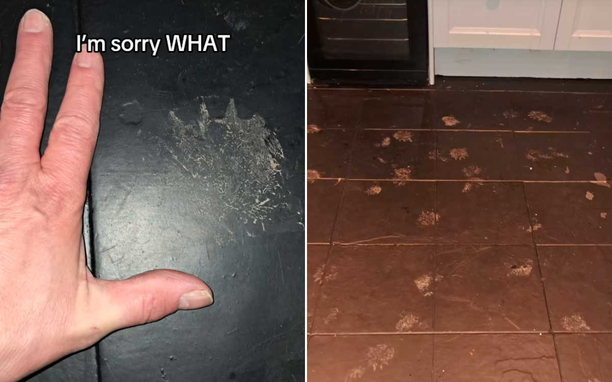 Woman Leaves Cat Door Open—Then Finds Terrifying Footprints Inside House Woman Leaves Cat Door Open—Then Finds Terrifying Footprints Inside House