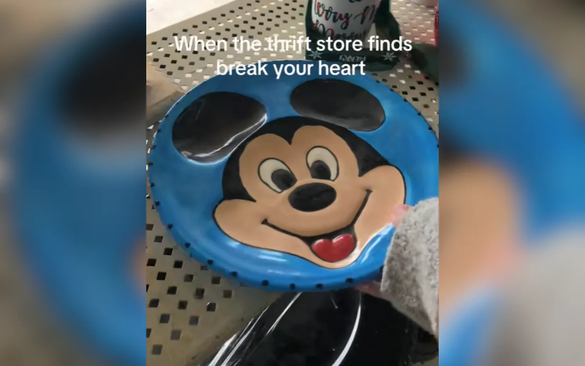 A homemade Disney plate.