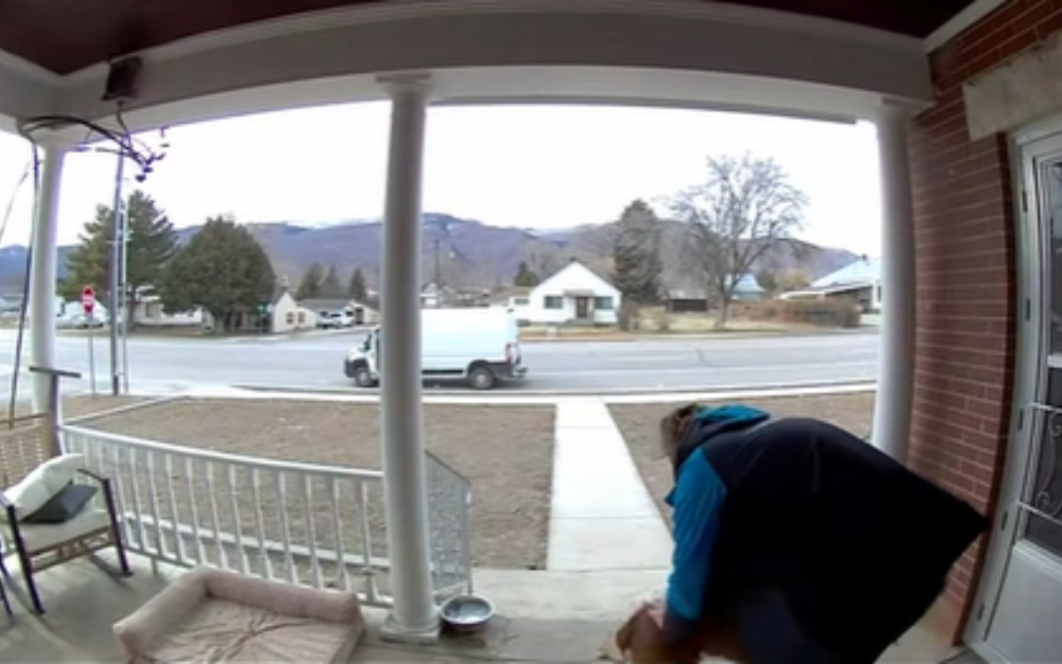 Puppy Greets Amazon Driver on Porch—Ring Cam Captures What Happens Next